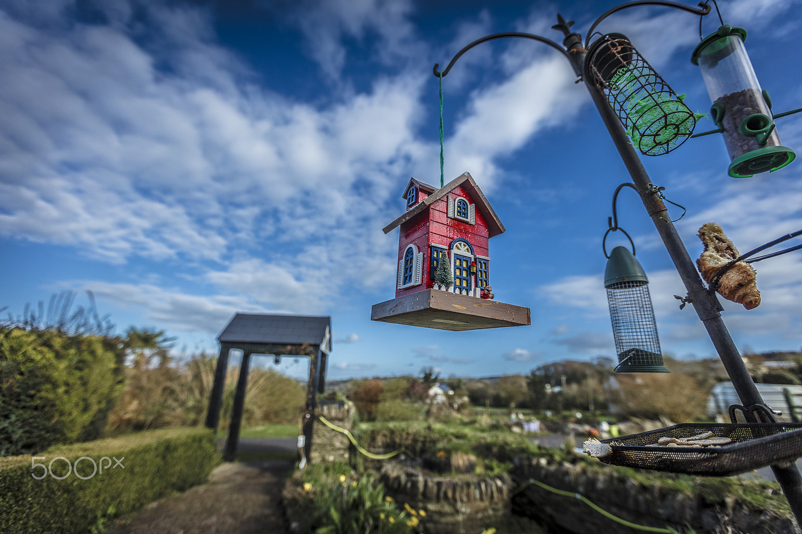 Canon EF 16-35mm F2.8L II USM sample photo. For the birds photography
