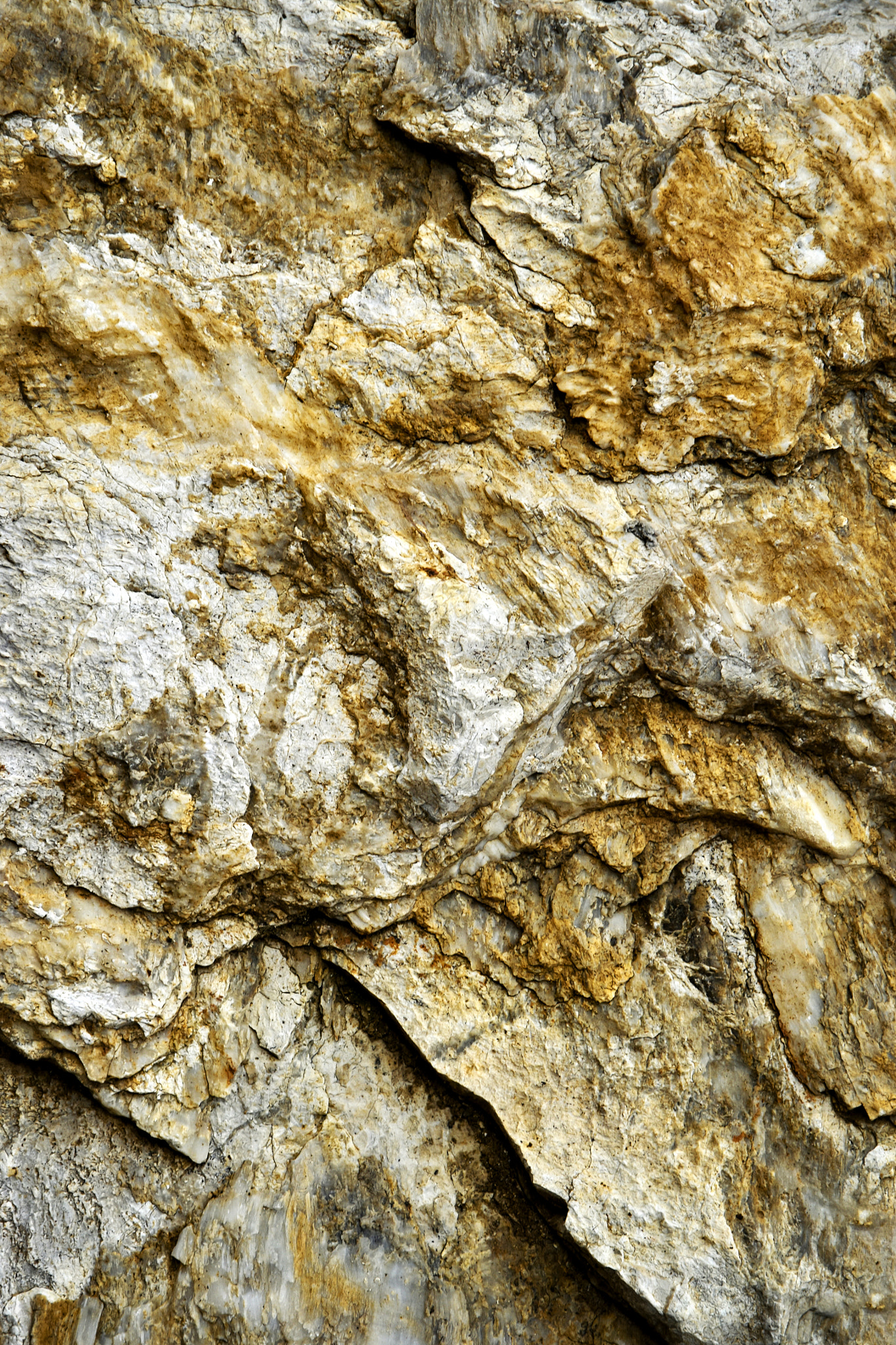 Nikon D5500 sample photo. Limestone yellow in color photography