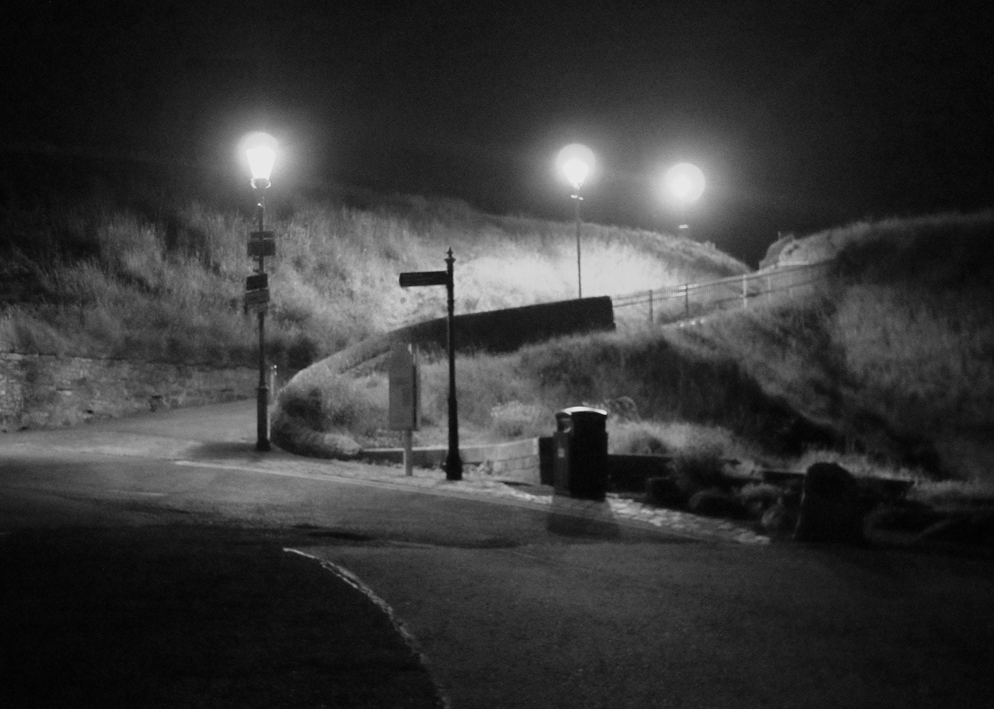 Olympus OM-D E-M5 sample photo. Night path photography