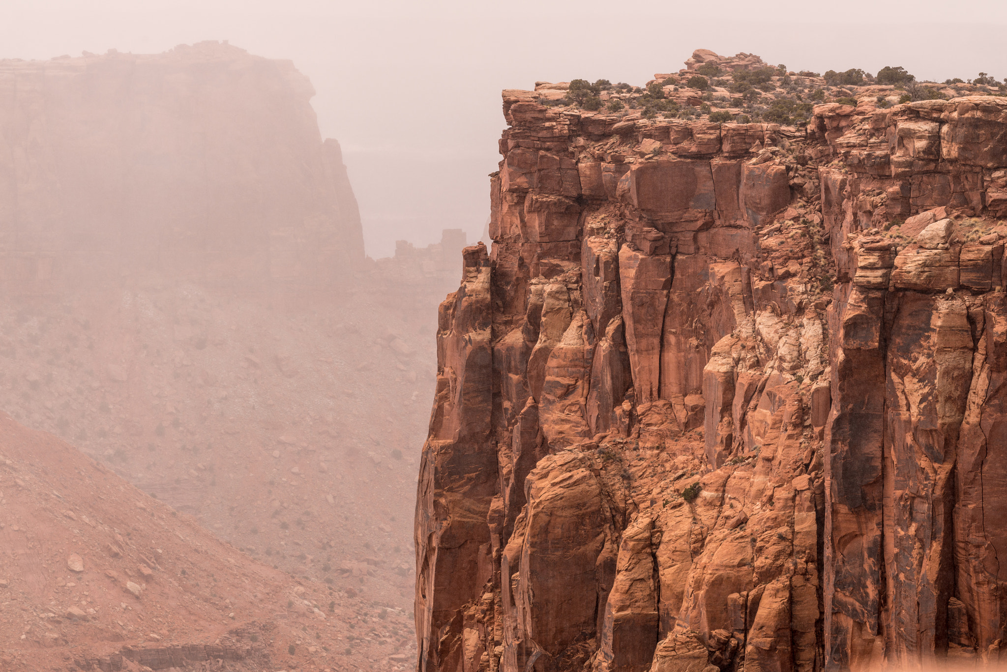 Nikon AF-S Nikkor 200-500mm F5.6E ED VR sample photo. Along the trail photography