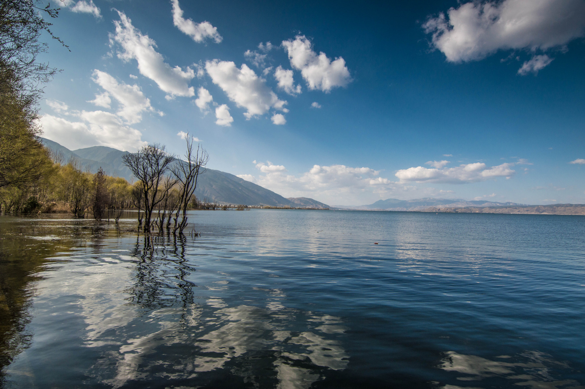Nikon D3200 sample photo. Afternoon photography