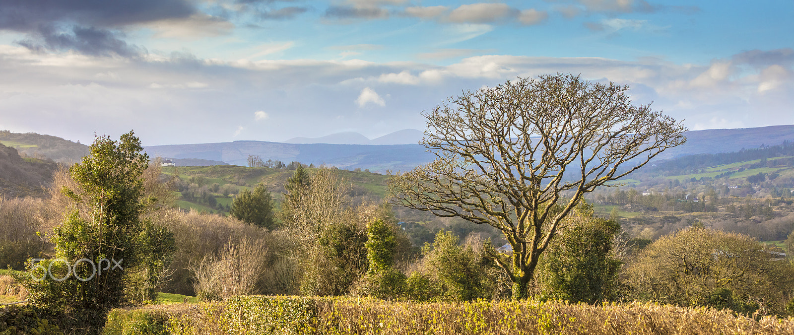 Canon EF 70-200mm F2.8L IS USM sample photo. Spring light kilnamartya west cork ireland photography