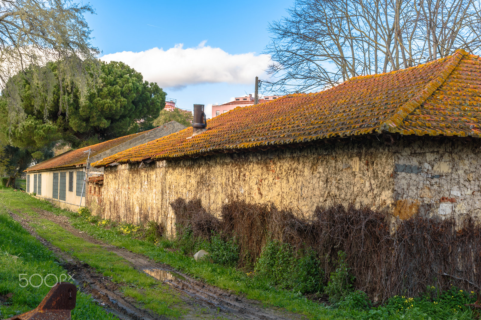 Nikon D5500 + Sigma 24-70mm F2.8 EX DG HSM sample photo. Quinta conde dos arcos photography