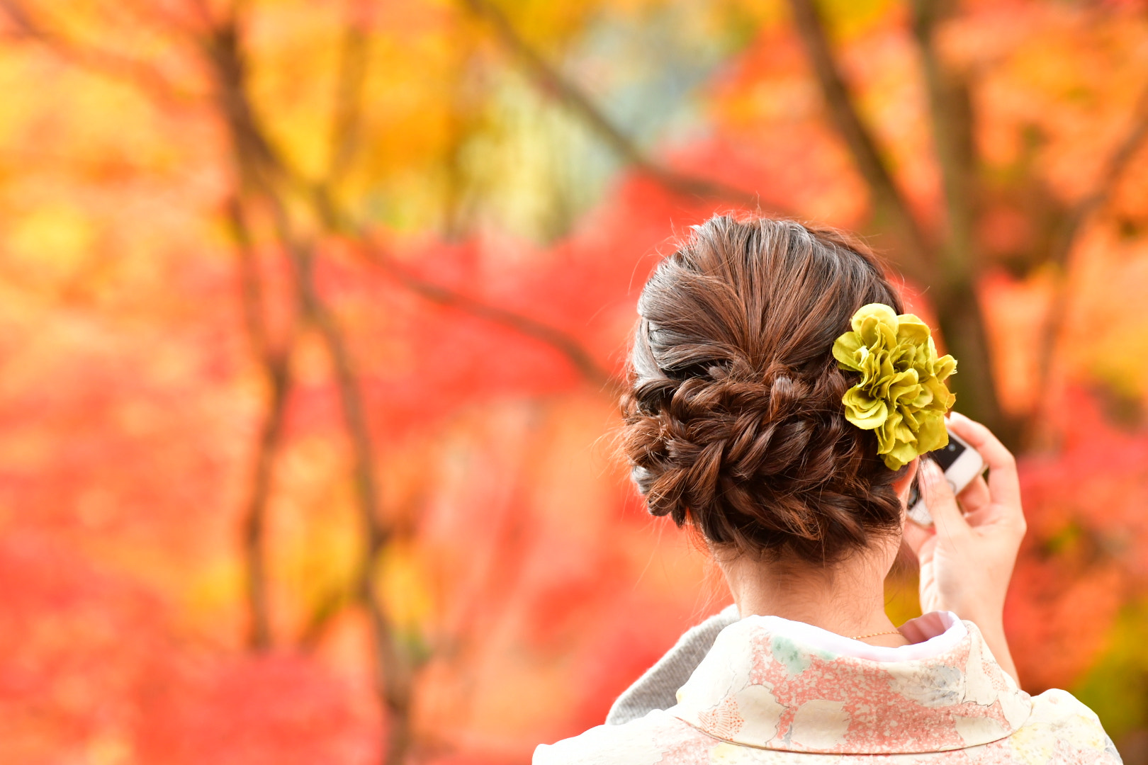 Nikon D500 sample photo