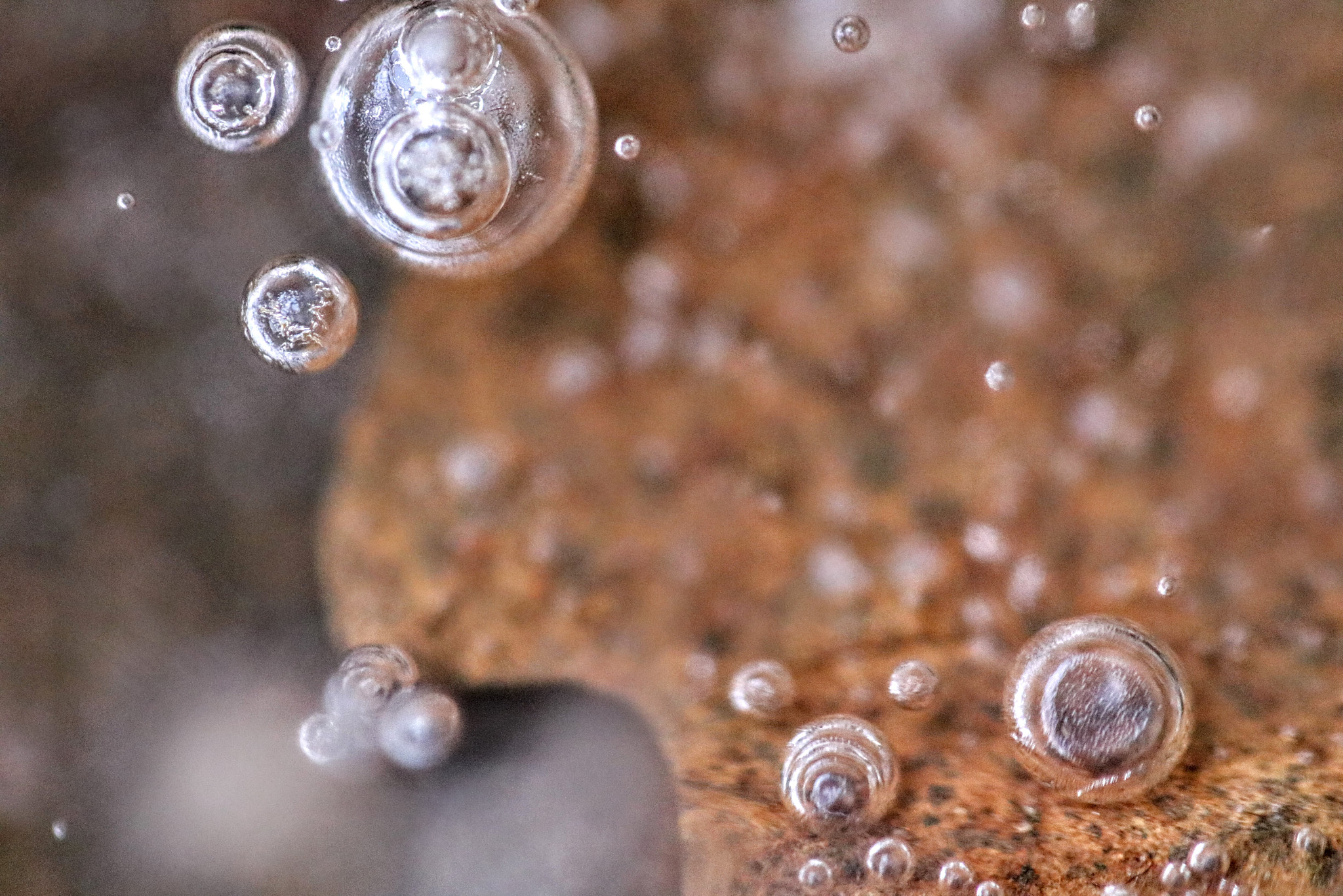 Canon EF 100mm F2.8L Macro IS USM sample photo. Frozen leaf with ice bubbles photography
