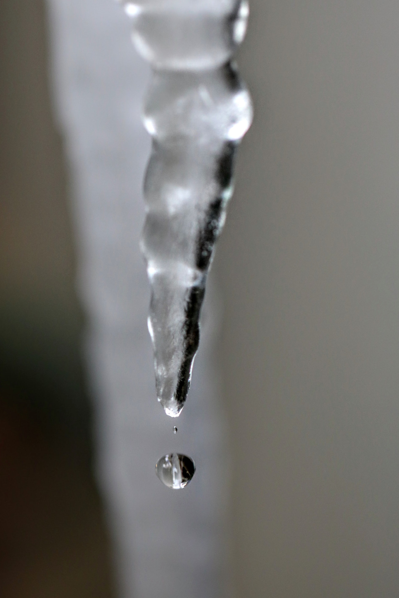 Canon EF 100mm F2.8L Macro IS USM sample photo. Drip photography