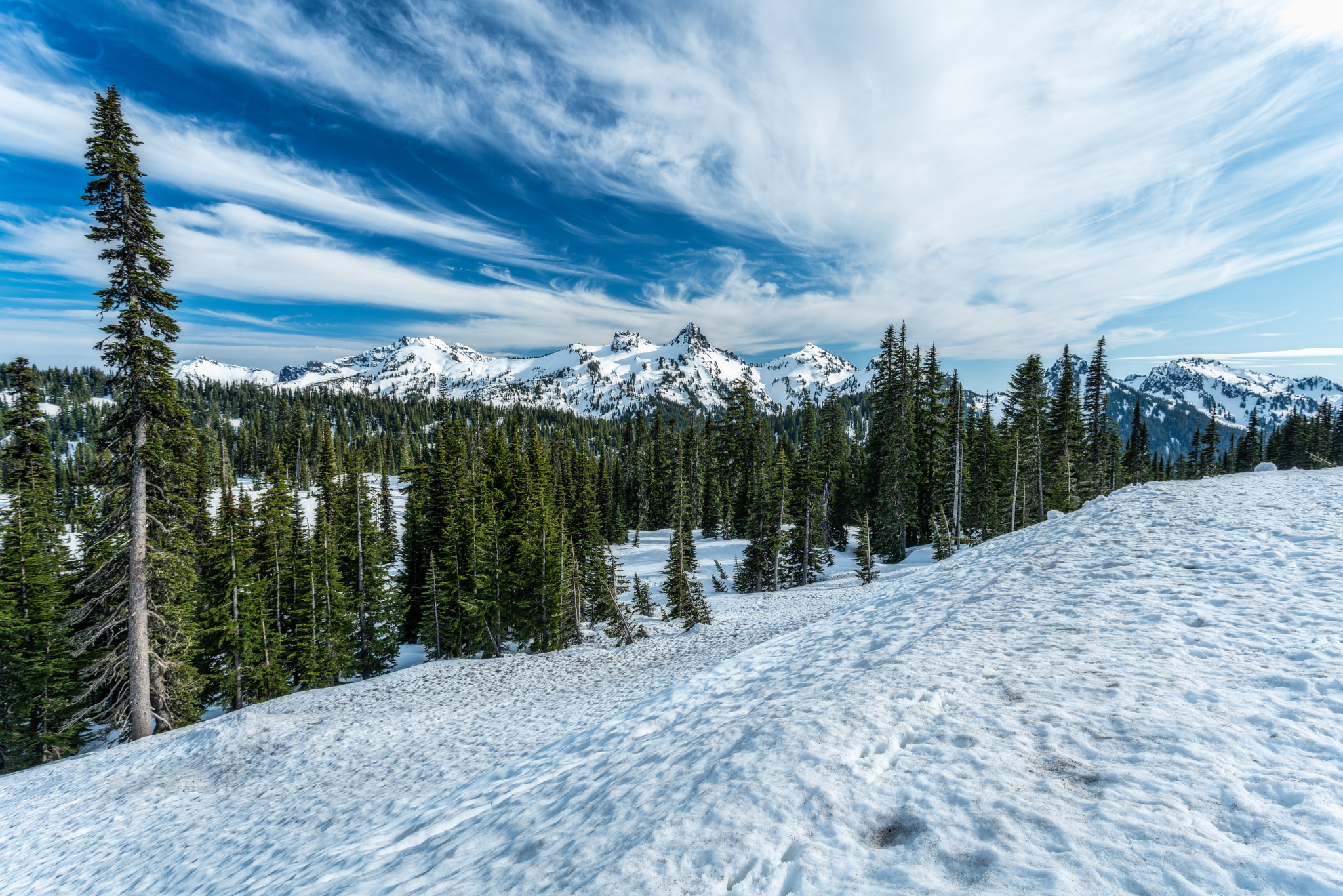 Sony a7R II + Canon EF 17-40mm F4L USM sample photo. Snowshoe photography