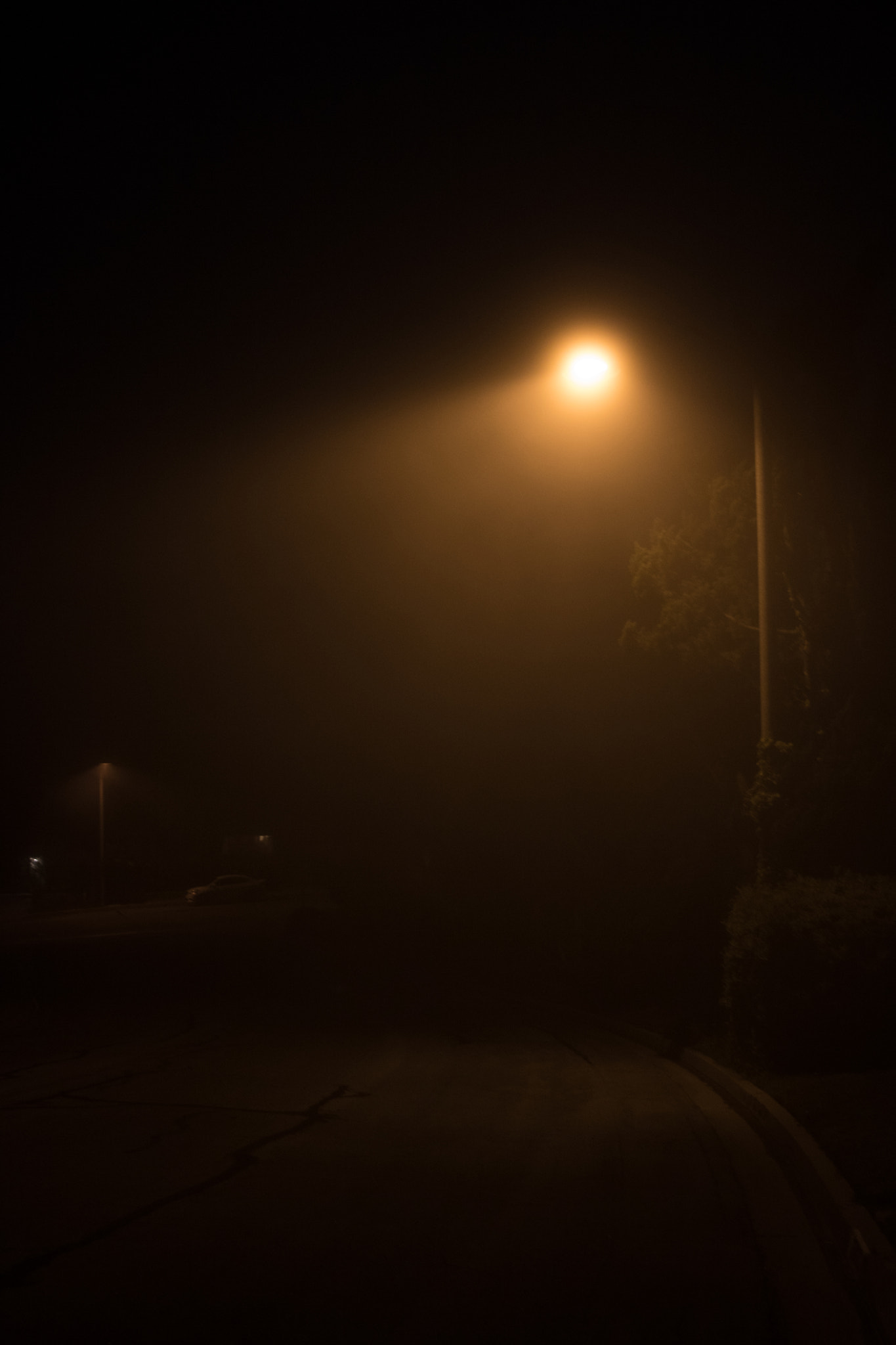 Canon EOS 750D (EOS Rebel T6i / EOS Kiss X8i) sample photo. The fog at midnight  photography