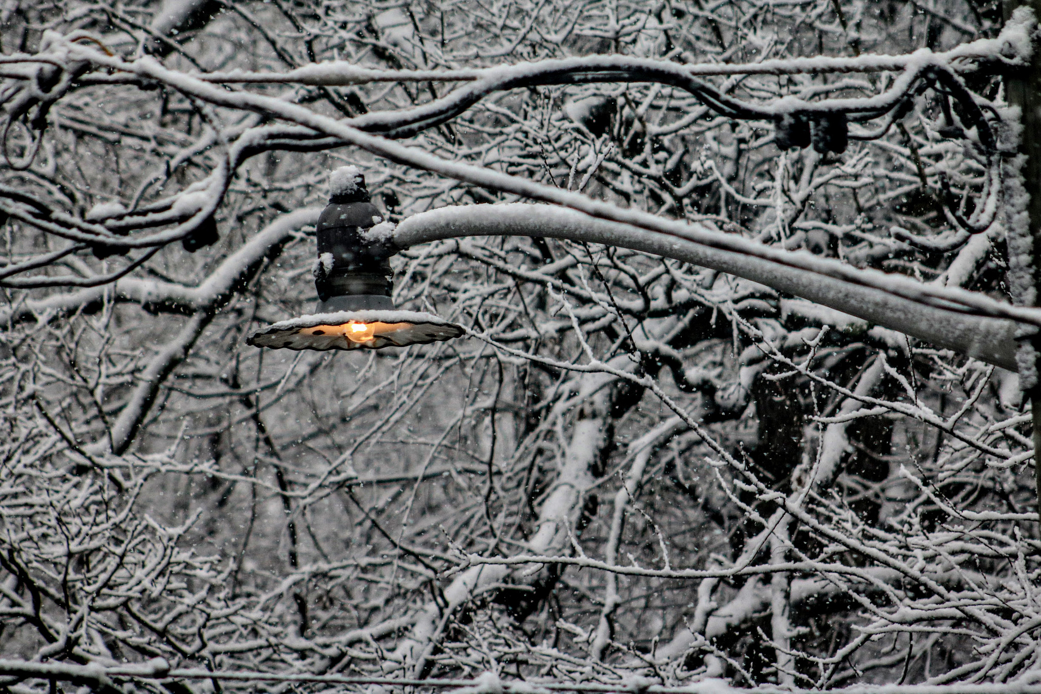 Canon EF 75-300mm f/4-5.6 USM sample photo. Cold photography