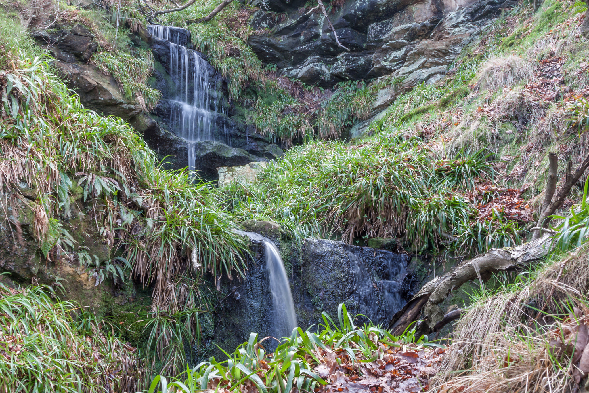 Canon EOS 40D + Canon EF 28-135mm F3.5-5.6 IS USM sample photo. Corbys letch waterfall photography