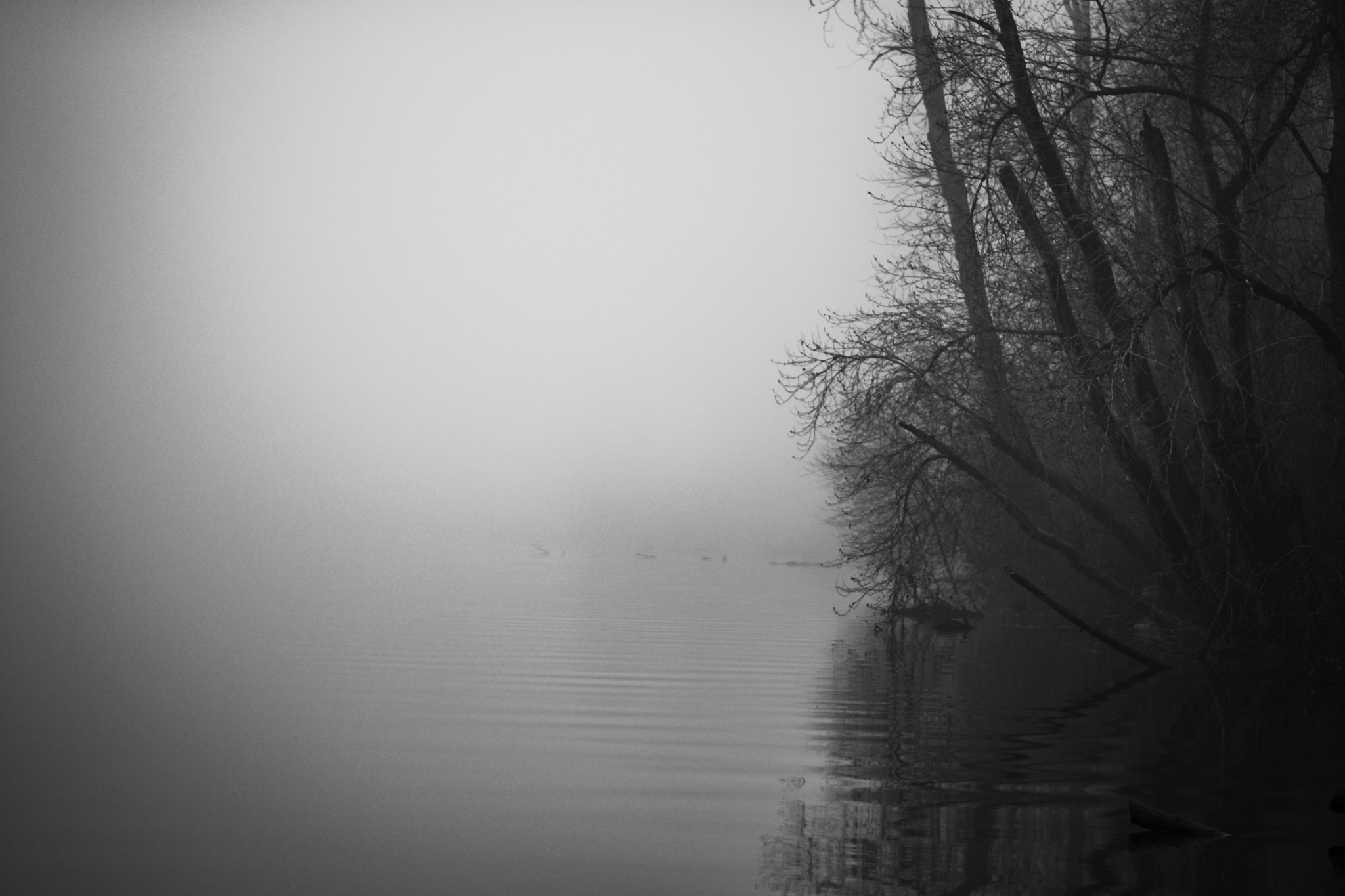 Nikon D500 sample photo. Misty river photography