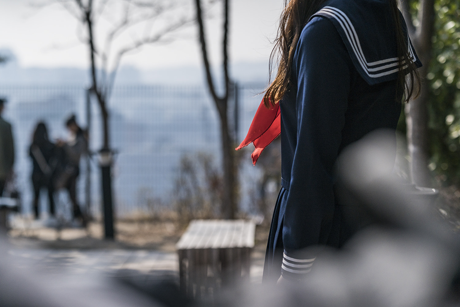 Sony FE 85mm F1.4 GM sample photo. Beautiful day photography
