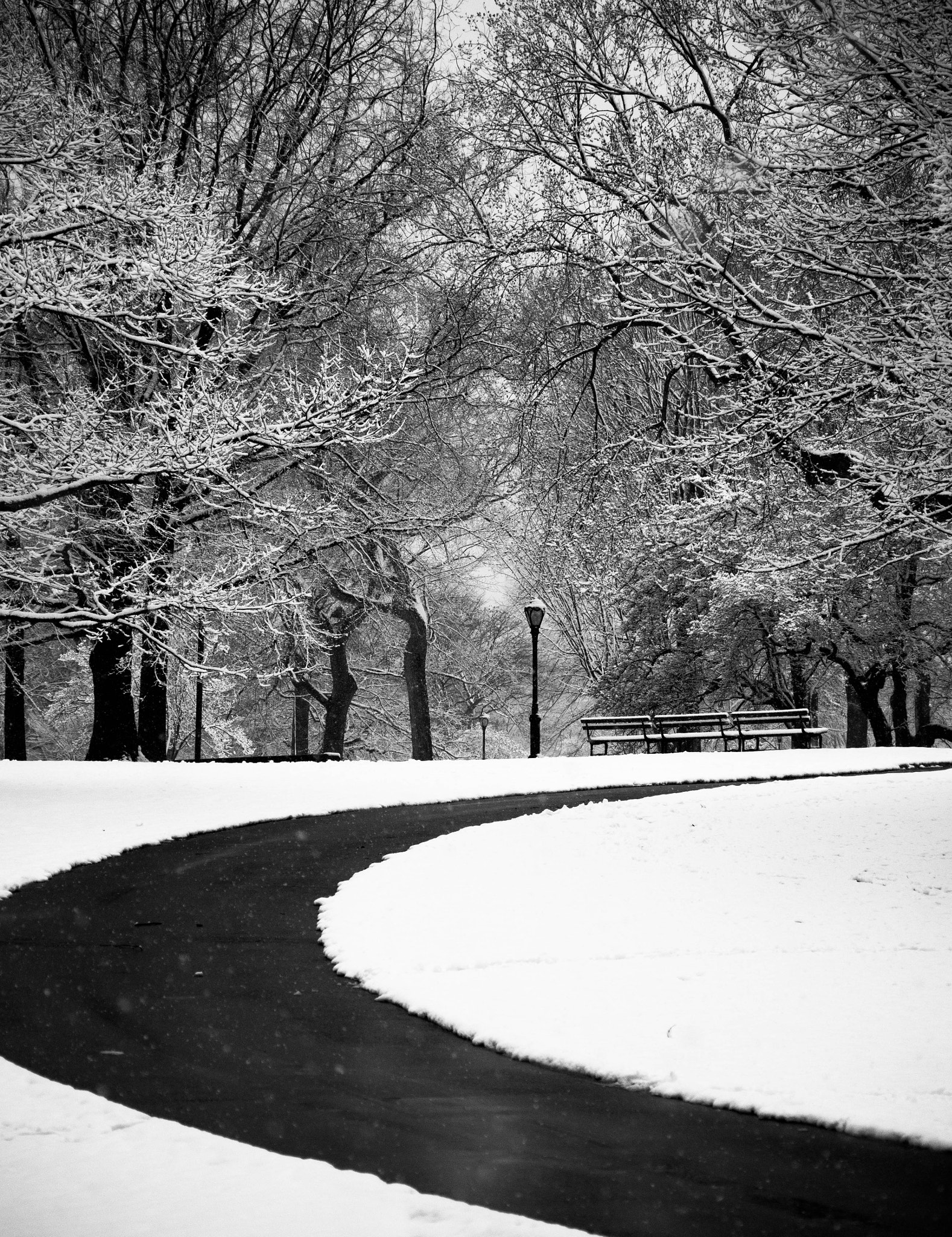 Panasonic Lumix G Vario 45-200mm F4-5.6 OIS sample photo. Central park in the snow photography