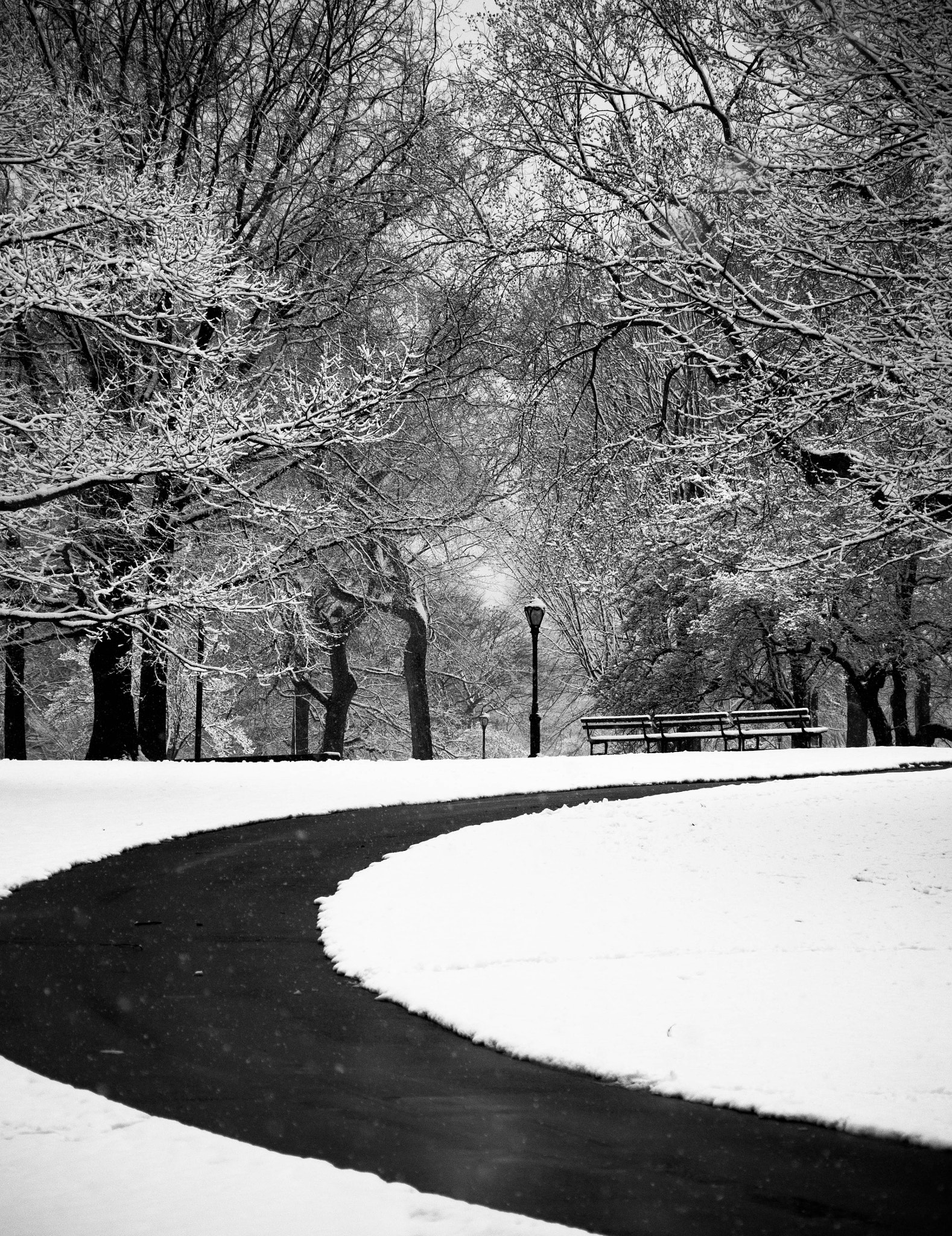 Panasonic Lumix DMC-GM1 + Panasonic Lumix G Vario 45-200mm F4-5.6 OIS sample photo. Central park in the snow photography