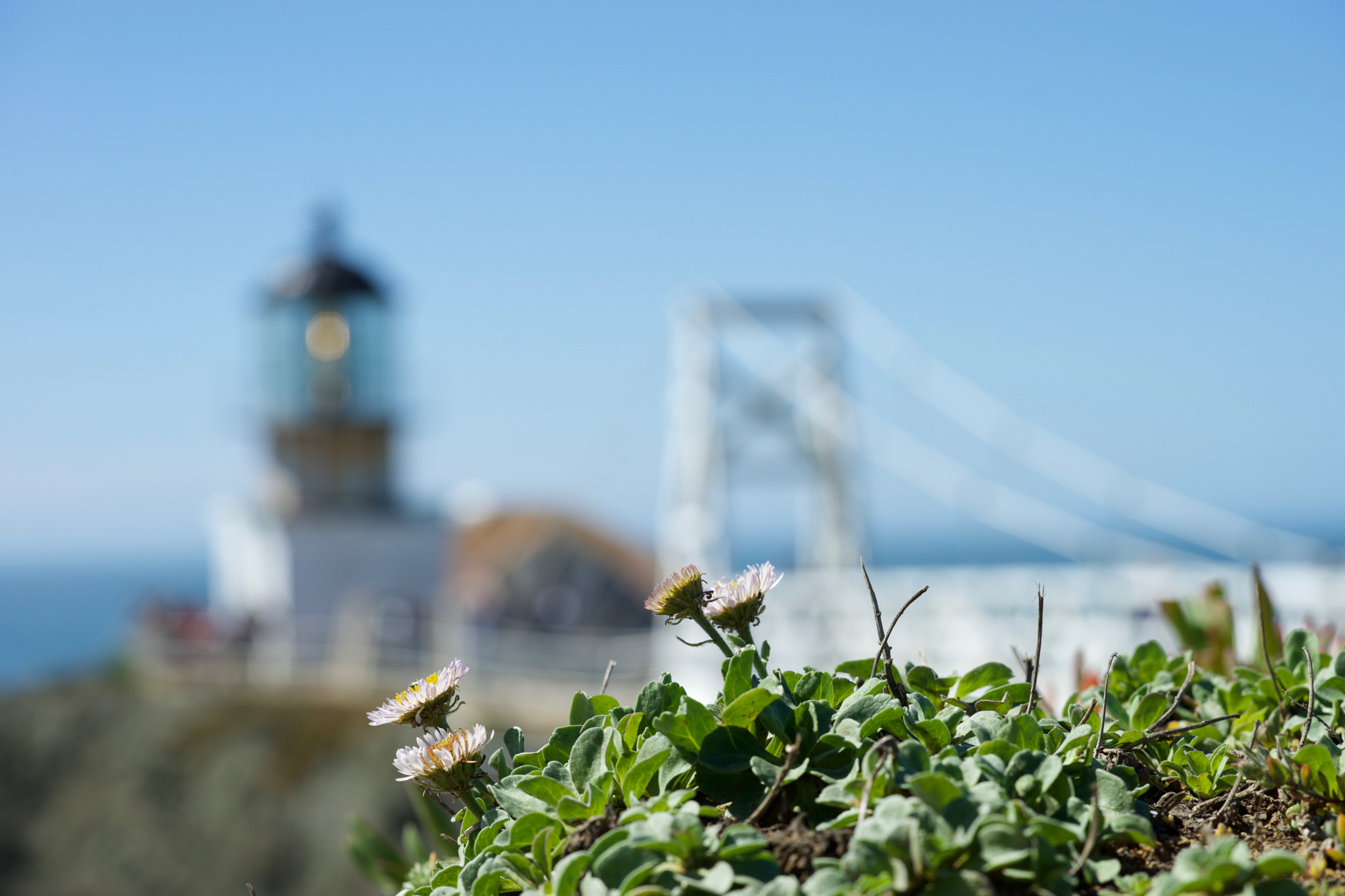 Sony a7 sample photo. Point bonita lighthouse photography