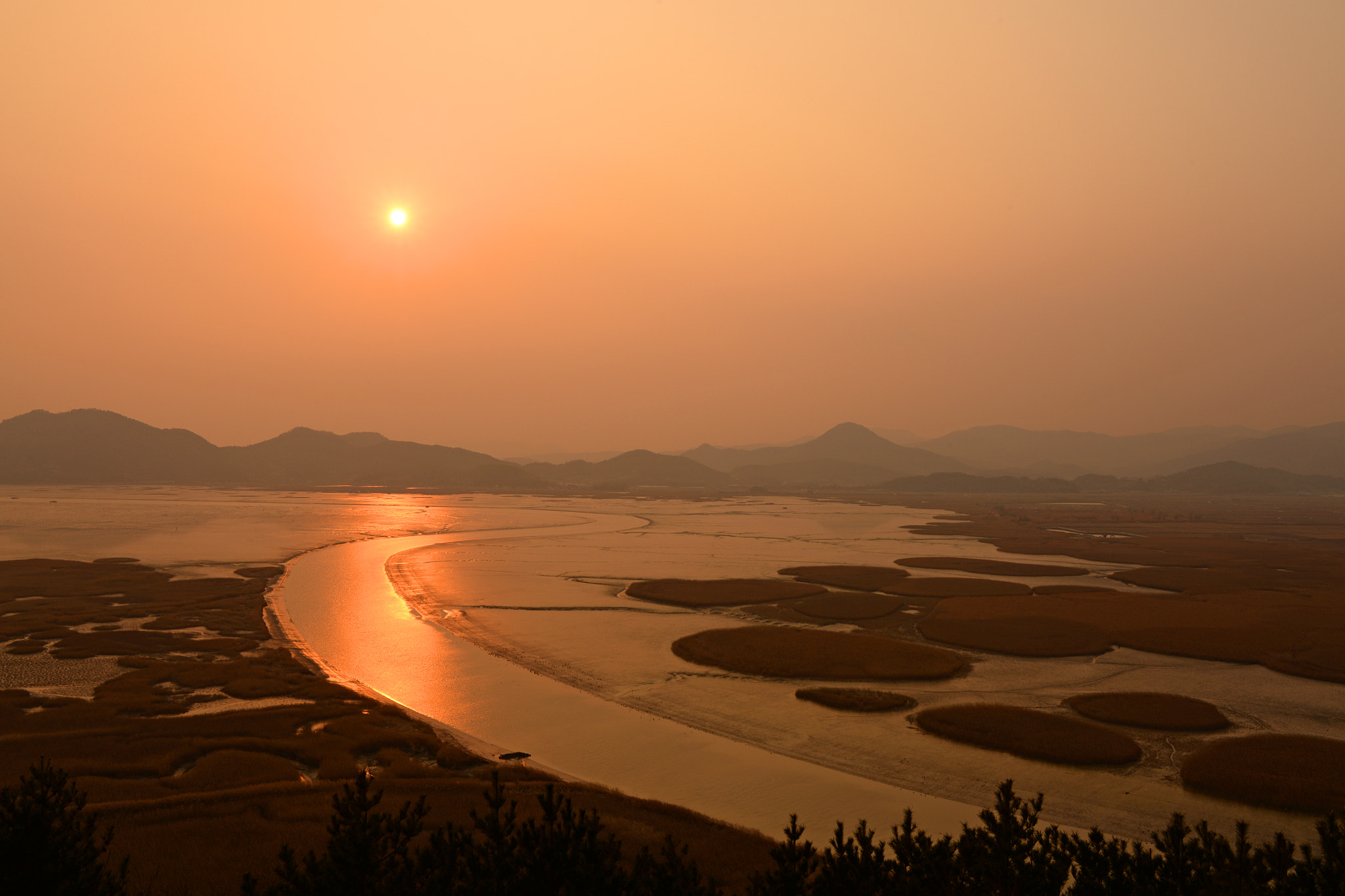 Nikon D610 + Nikon AF-S Nikkor 28mm F1.8G sample photo. Suncheon bay photography