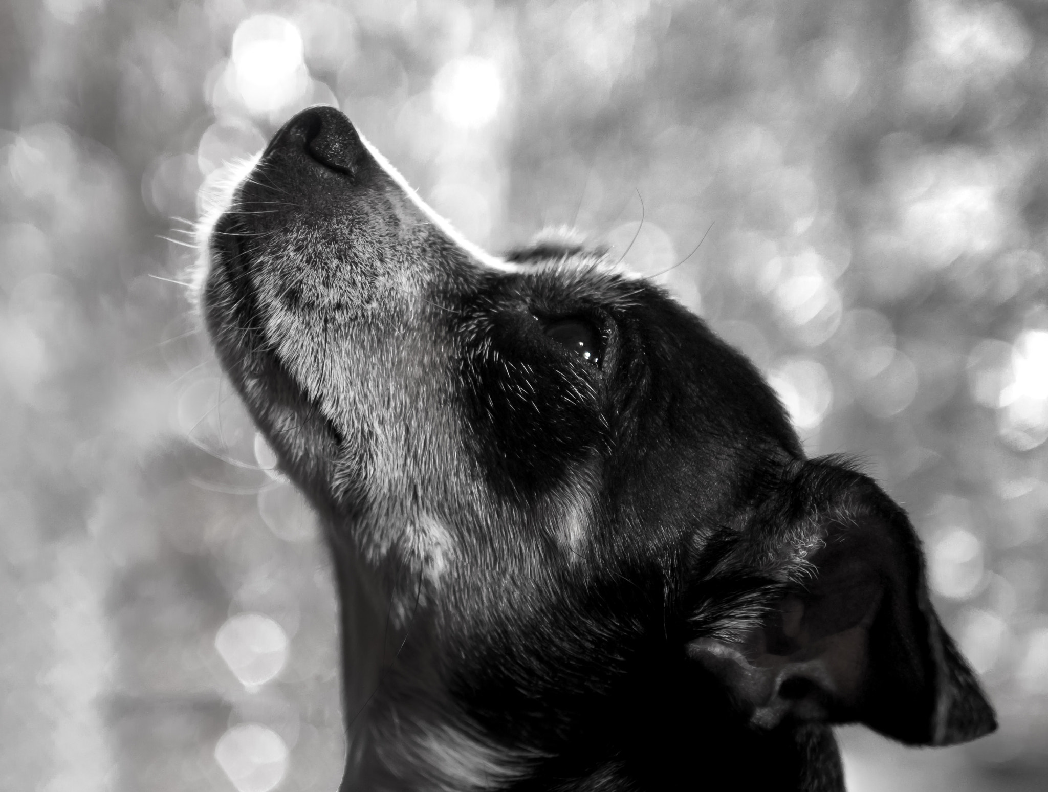 Panasonic Lumix DMC-GX8 + Panasonic Leica DG Summilux 25mm F1.4 II ASPH sample photo. Contemplative photography