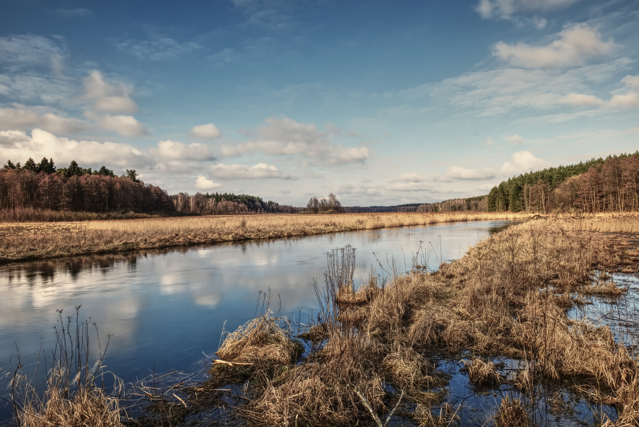 Fujifilm X-T20 + Fujifilm XF 16mm F1.4 R WR sample photo. Łyna river photography