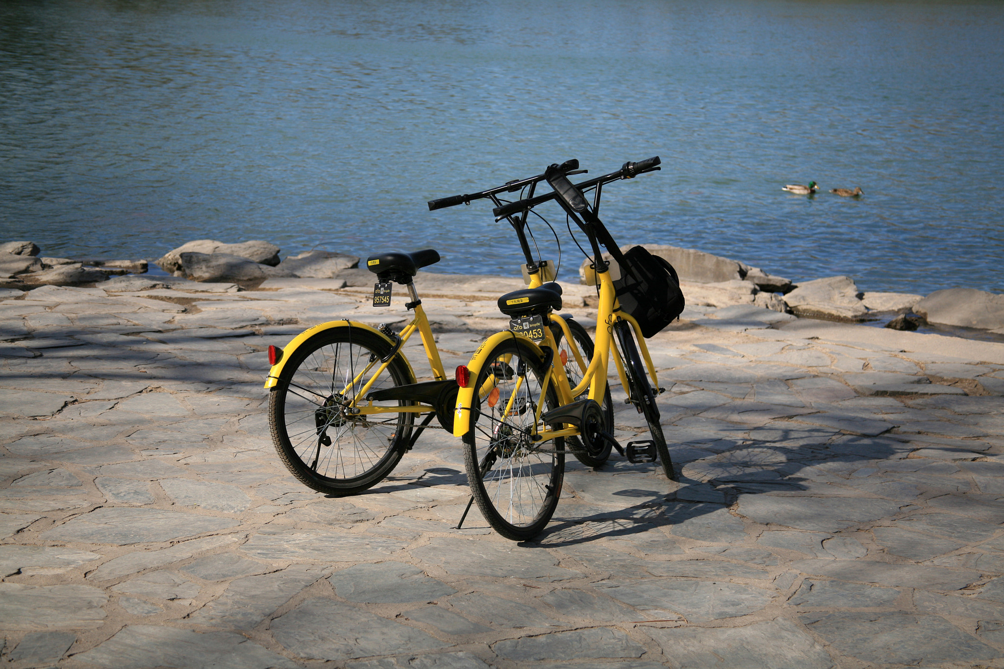 Canon EF 28-135mm F3.5-5.6 IS USM sample photo. Bikes photography