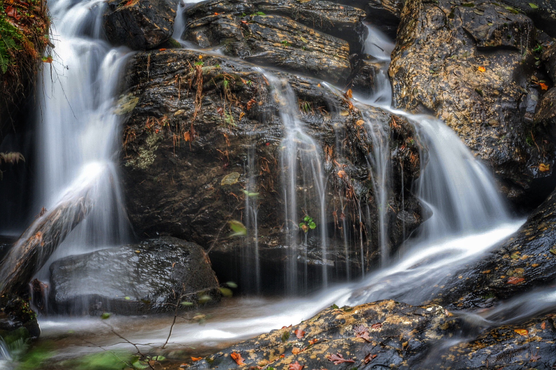 Canon EF75-300mm f/4-5.6 sample photo. Beauty uncompromising photography