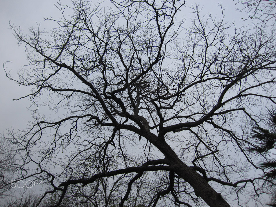 Canon PowerShot SD960 IS (Digital IXUS 110 IS / IXY Digital 510 IS) sample photo. Depression photography