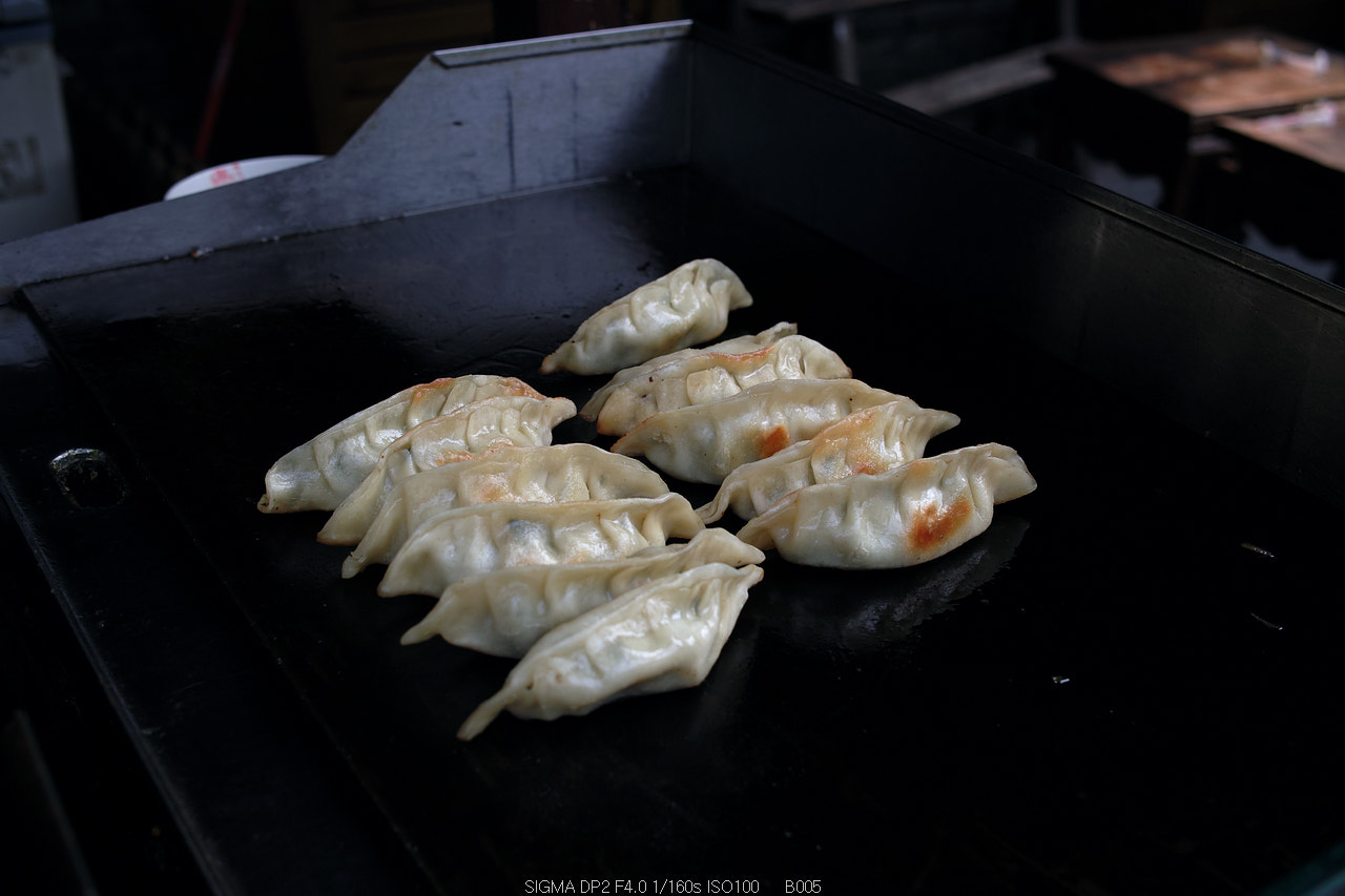 Sigma DP2 sample photo. The fried dumplings photography