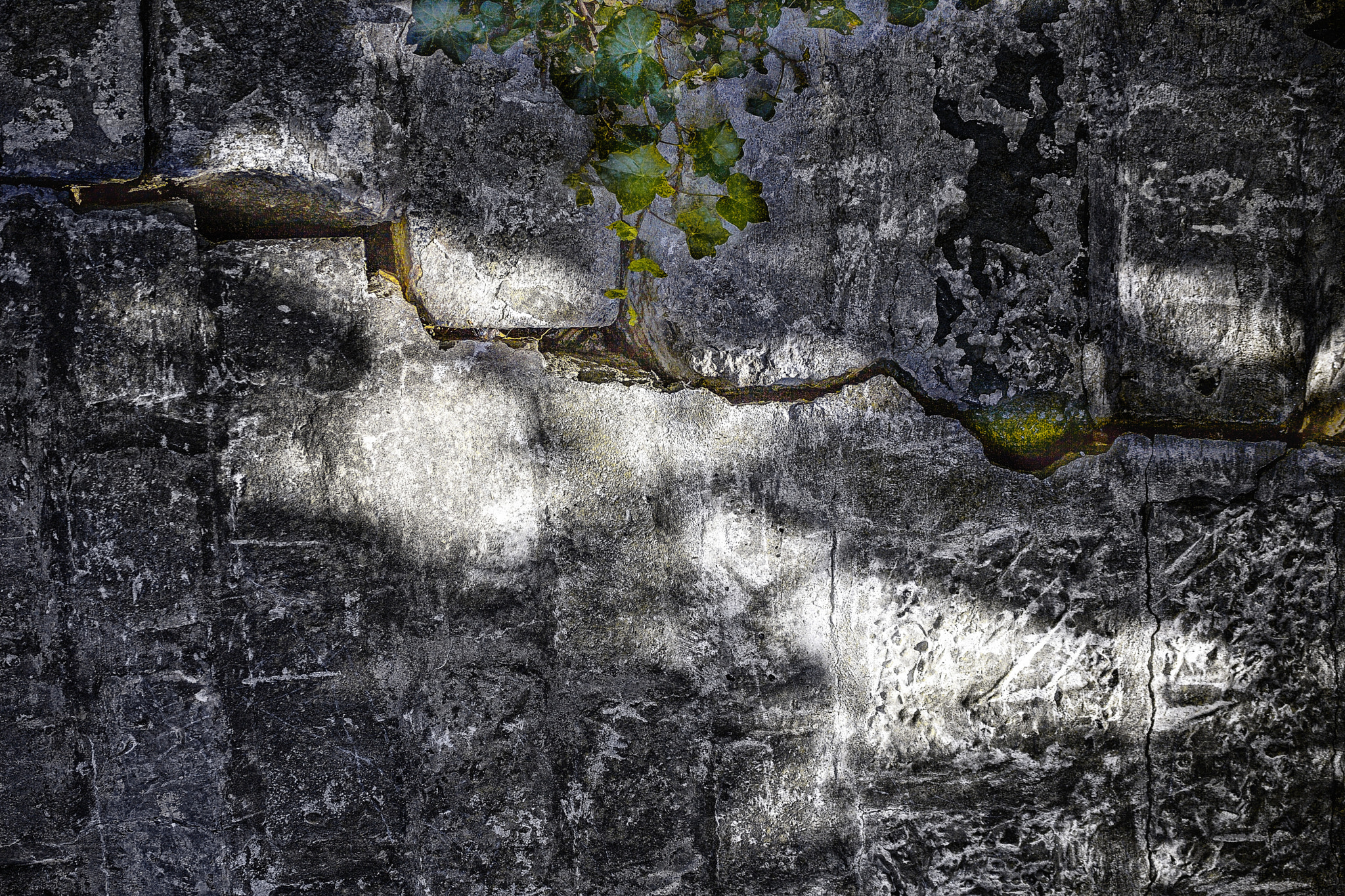 Canon EF 100-400mm F4.5-5.6L IS USM sample photo. Crack photography
