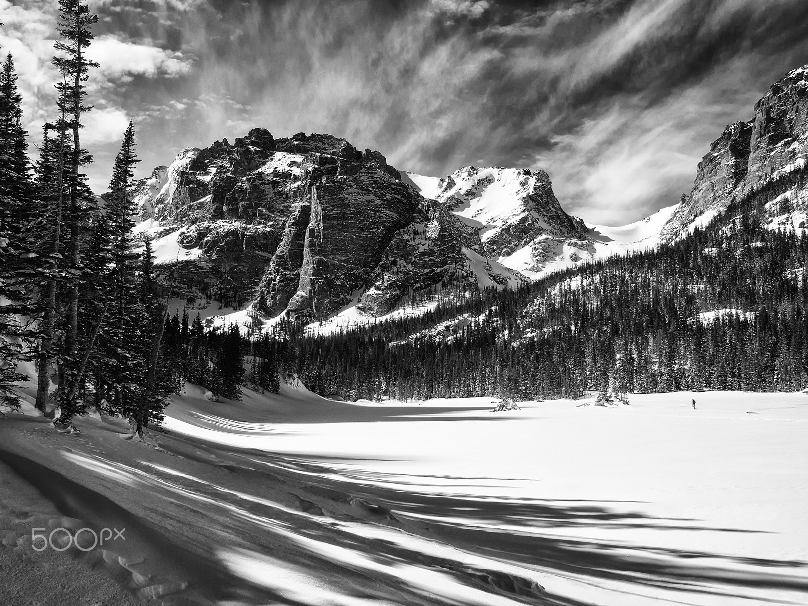 Olympus M.Zuiko Digital 17mm F1.8 sample photo. A winter dream in black and white photography