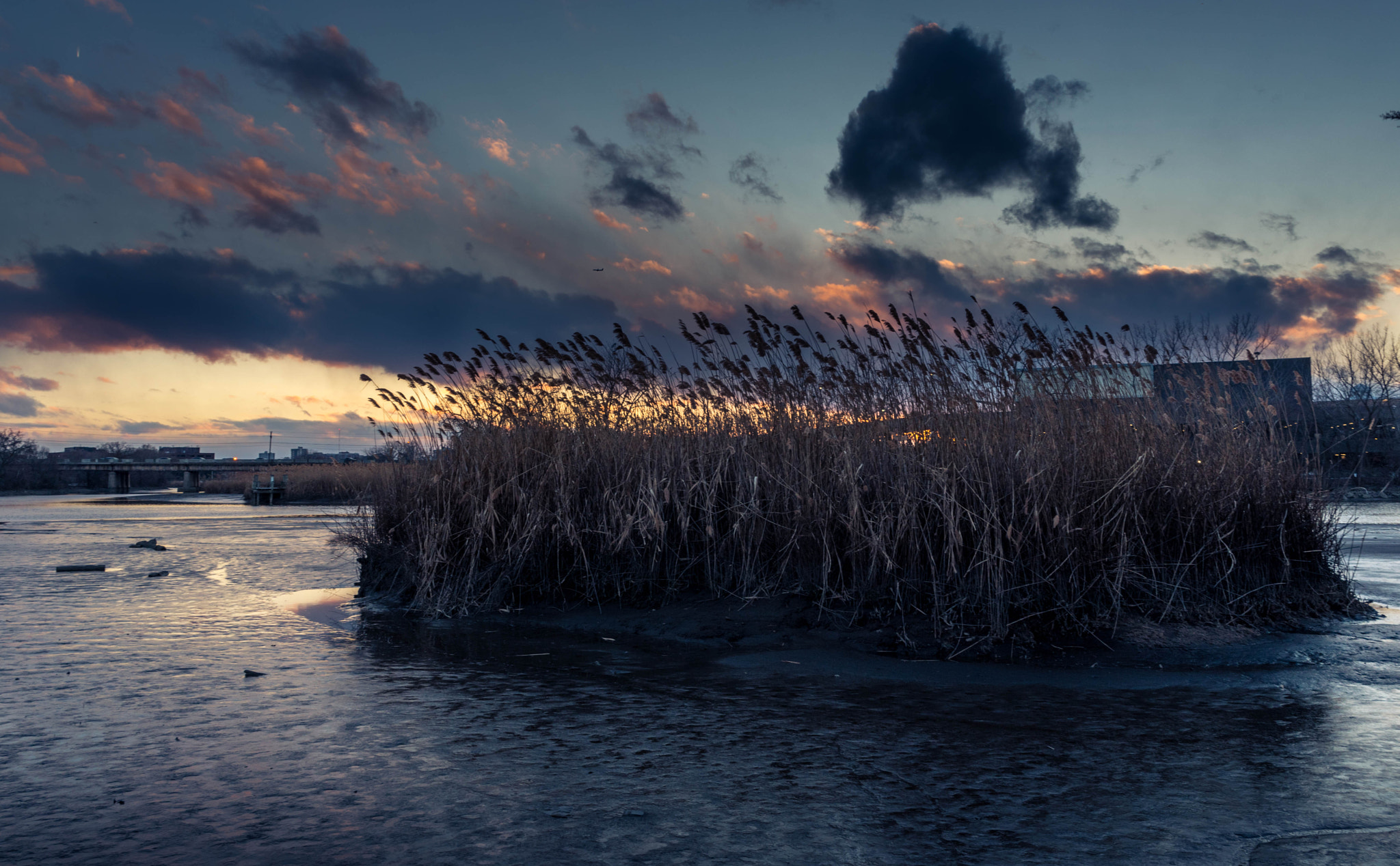 Nikon D750 + Sigma 24-70mm F2.8 EX DG HSM sample photo. In the marsh  photography