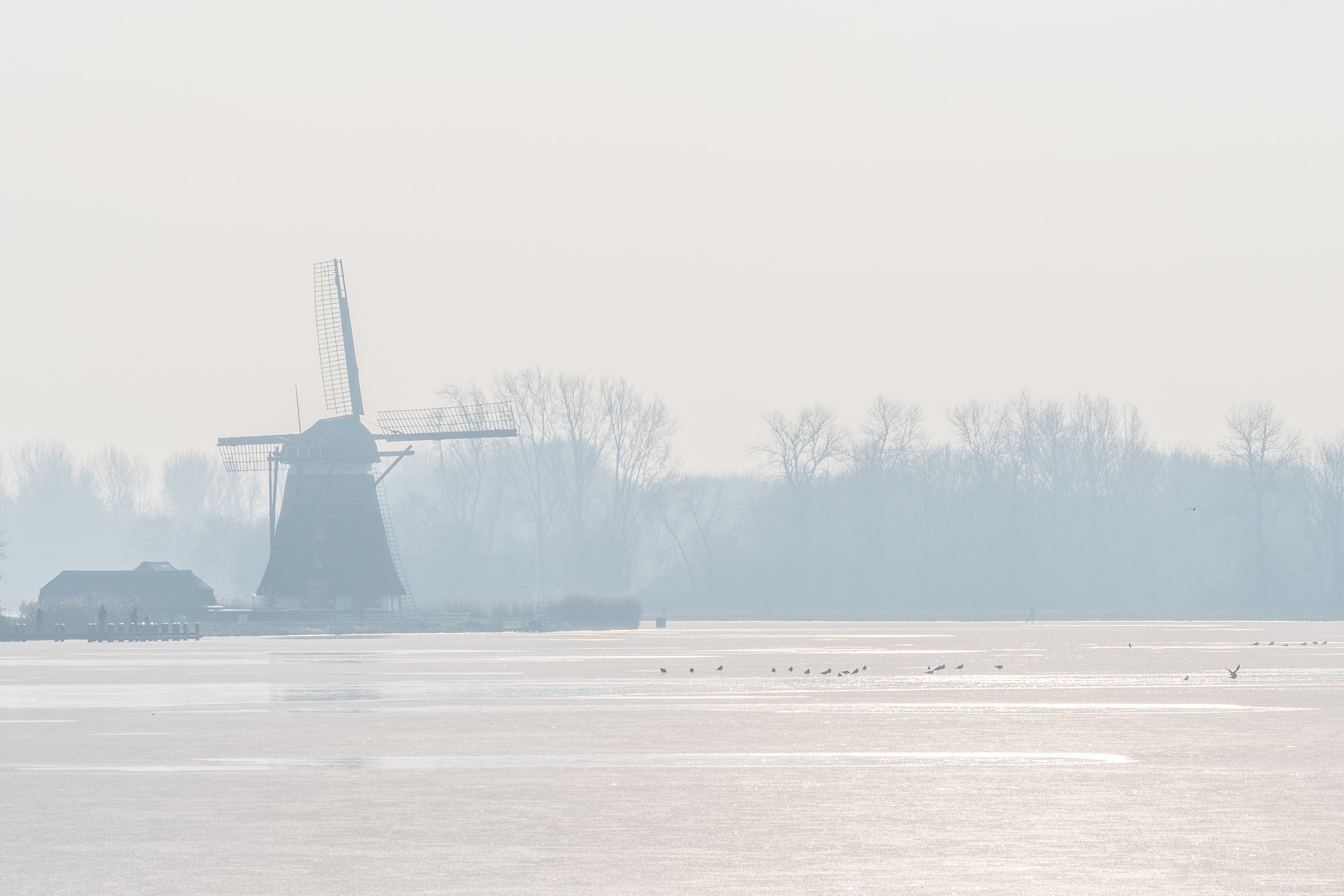 Nikon D500 sample photo. Wintermorning photography