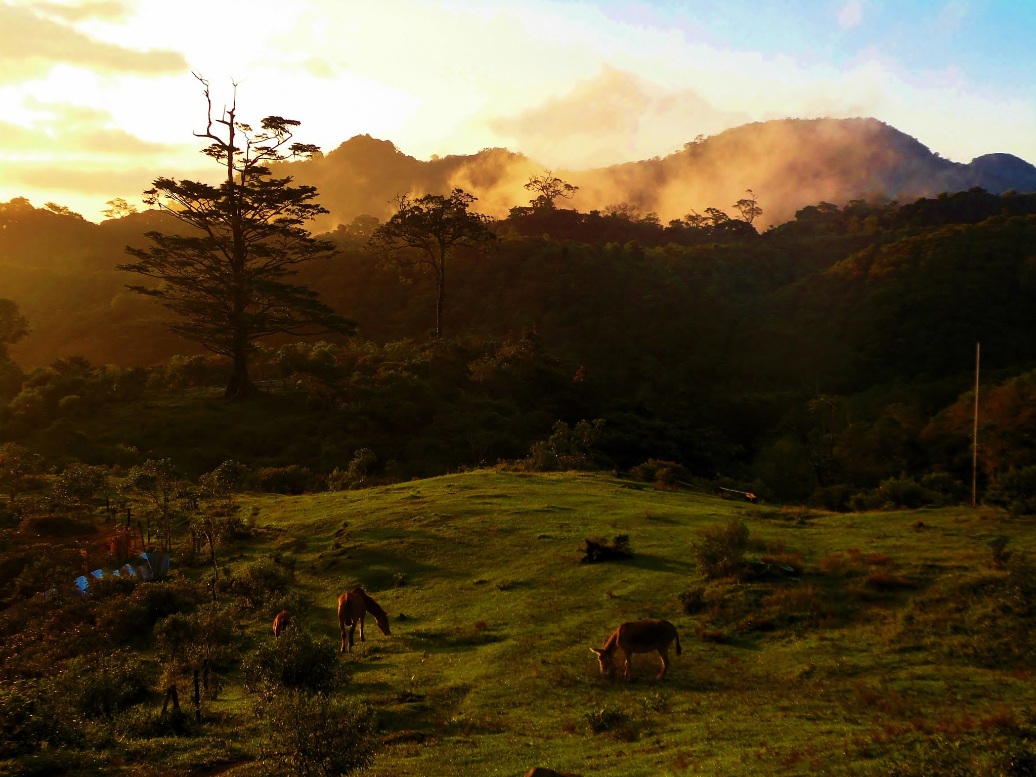 Samsung WB110/  WB111 sample photo. Atardecer en los tuxtlas photography