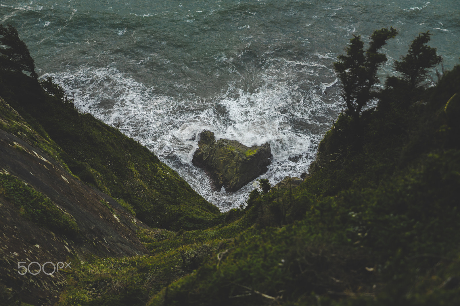Sony a7 II + Sony FE 24-70mm F2.8 GM sample photo. Oregon photography