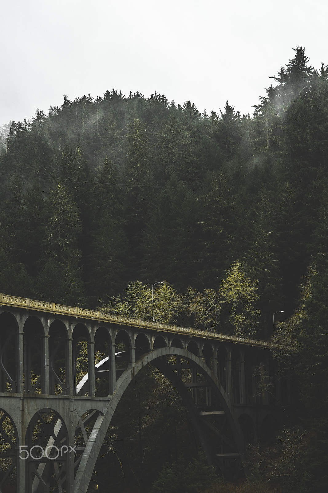 Sony a7 II + Sony FE 24-70mm F2.8 GM sample photo. Oregon photography