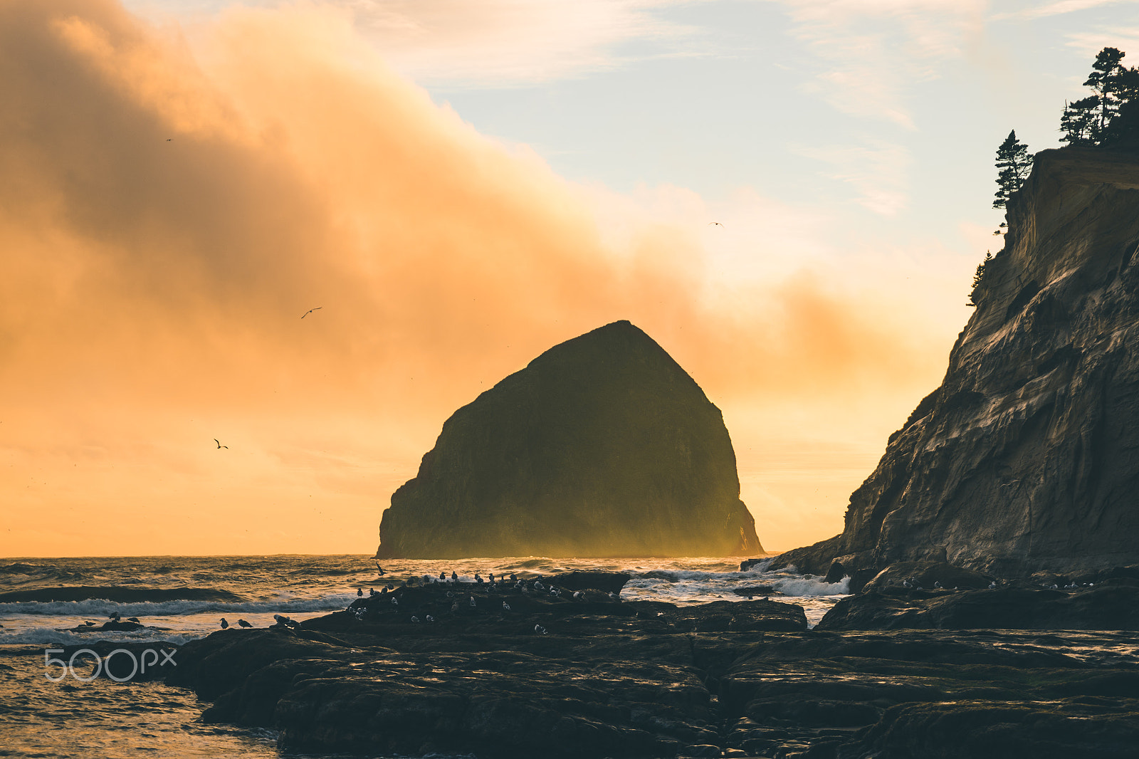 Sony a7 II + Sony FE 24-70mm F2.8 GM sample photo. Oregon photography