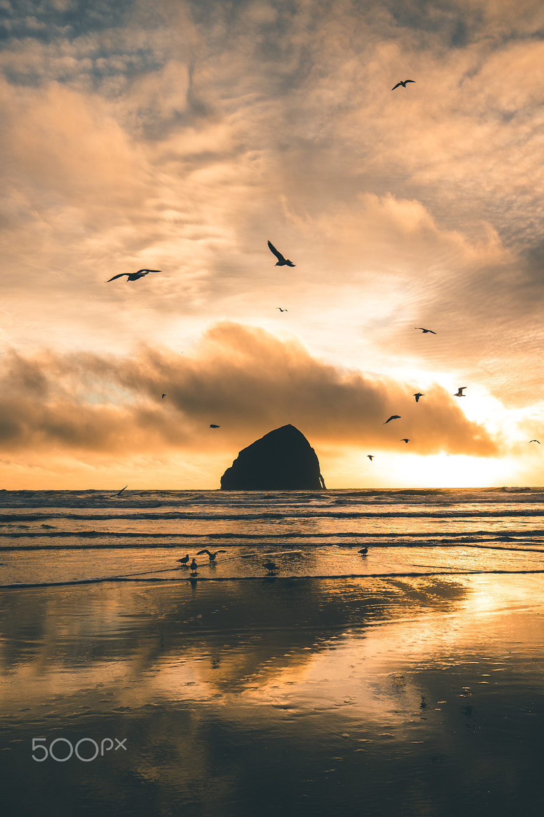 Sony a7 II + Sony FE 24-70mm F2.8 GM sample photo. Oregon photography