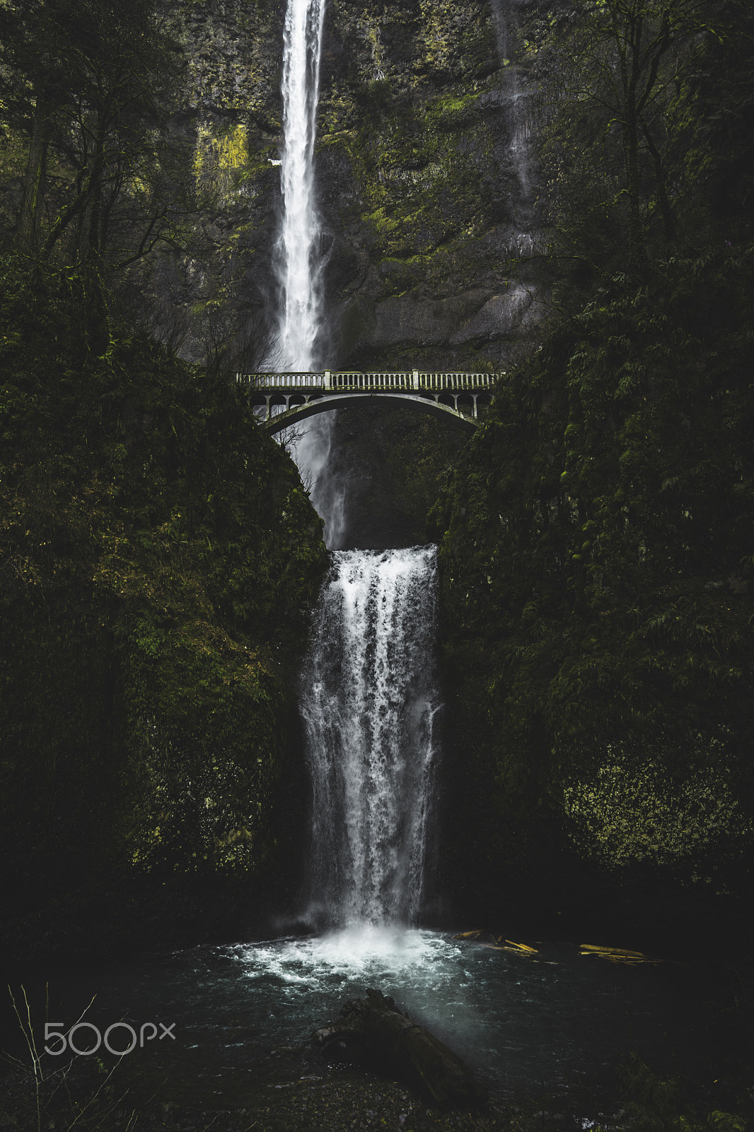 Sony a7 II + Sony FE 24-70mm F2.8 GM sample photo. Oregon photography