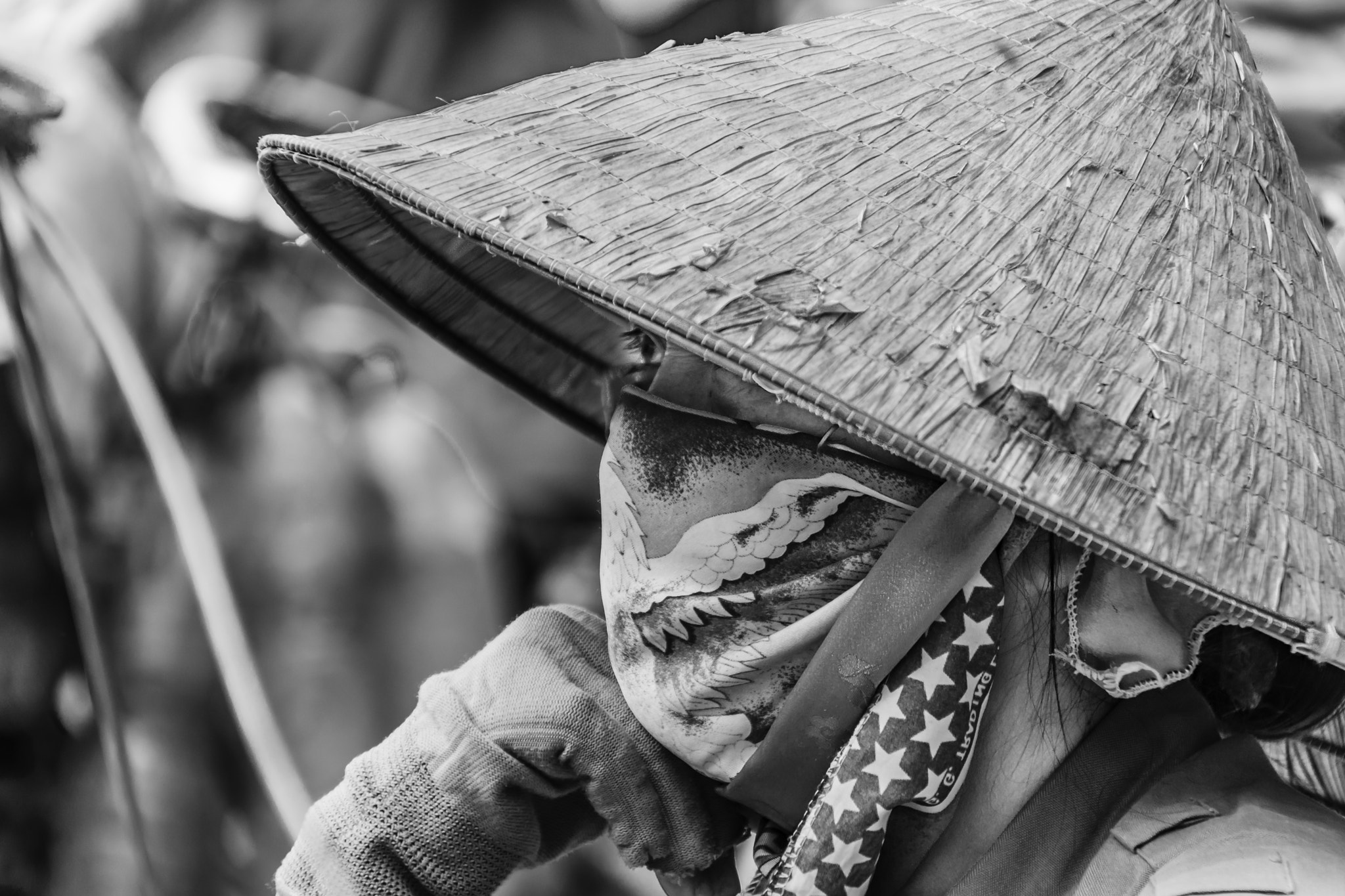 Sigma 18-250mm F3.5-6.3 DC Macro OS HSM sample photo. Vietna photography