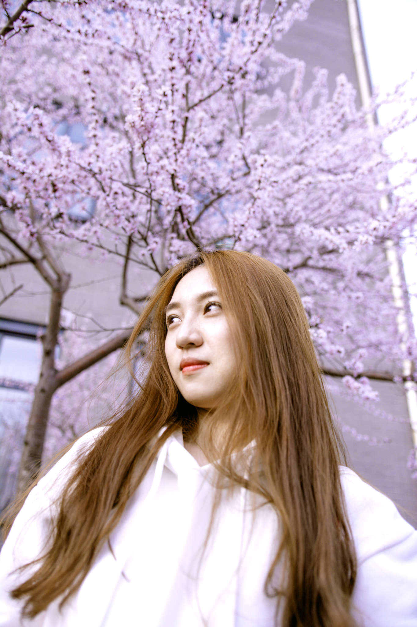 Nikon D7100 + Sigma 18-35mm F1.8 DC HSM Art sample photo