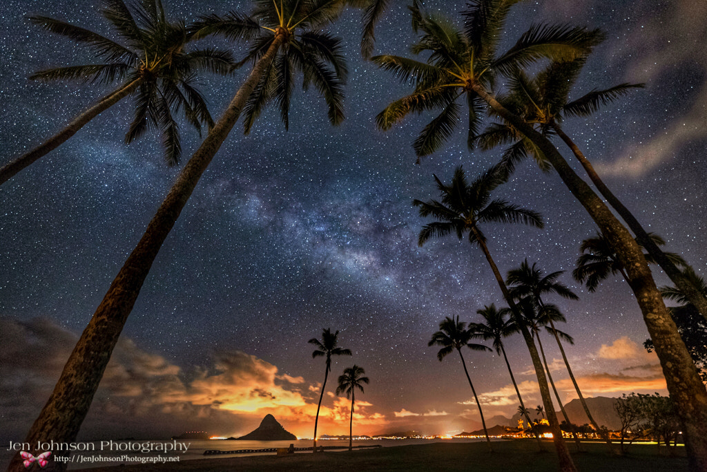 Samyang 14mm F2.8 ED AS IF UMC sample photo. Amazing milky way in hawaii photography