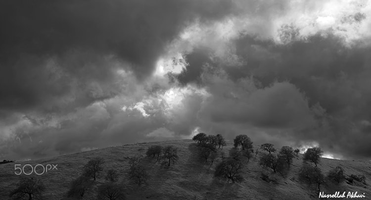 Nikon D3 sample photo. Cloudy day photography