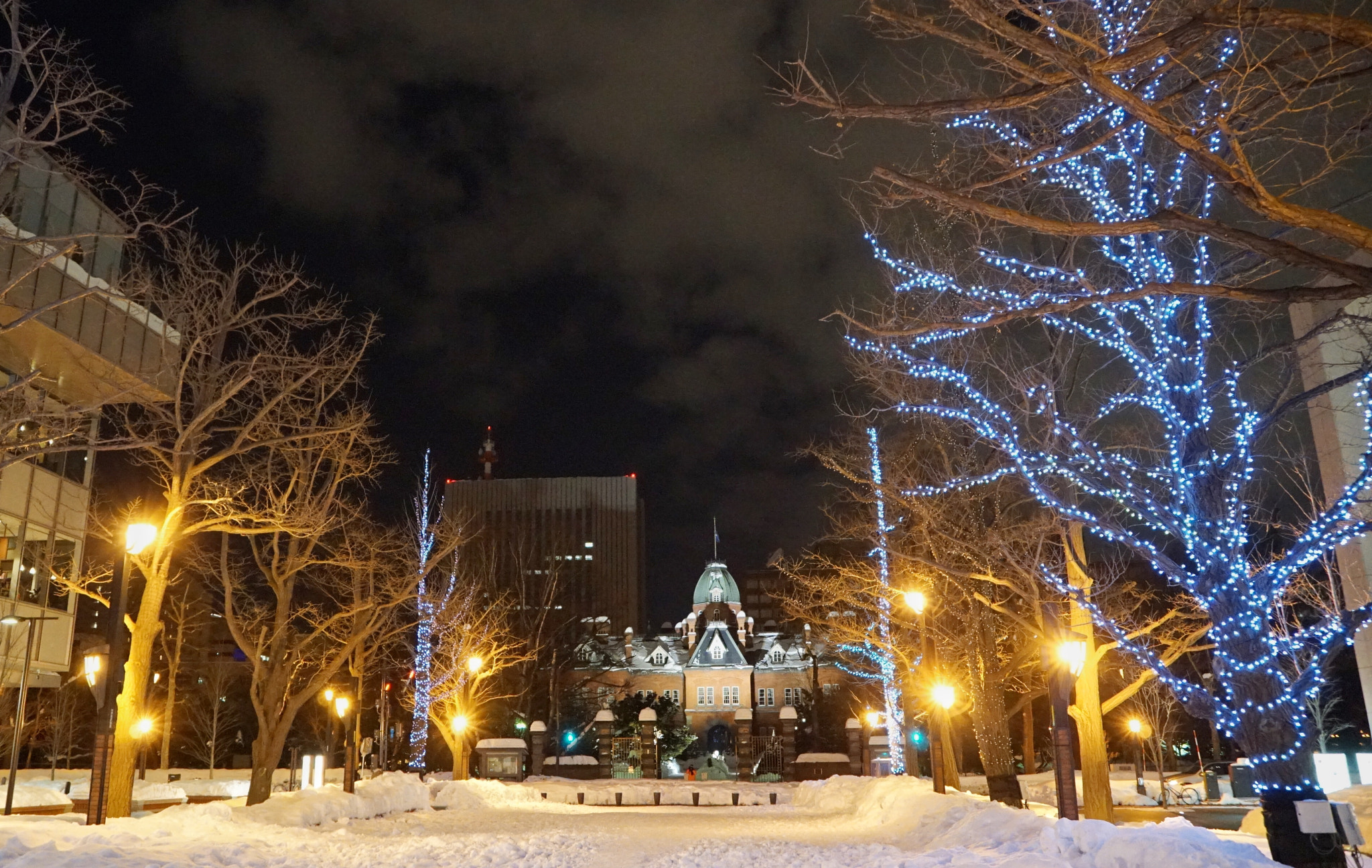 Sony Vario-Tessar T* E 16-70mm F4 ZA OSS sample photo. Sapporo hokkaido photography