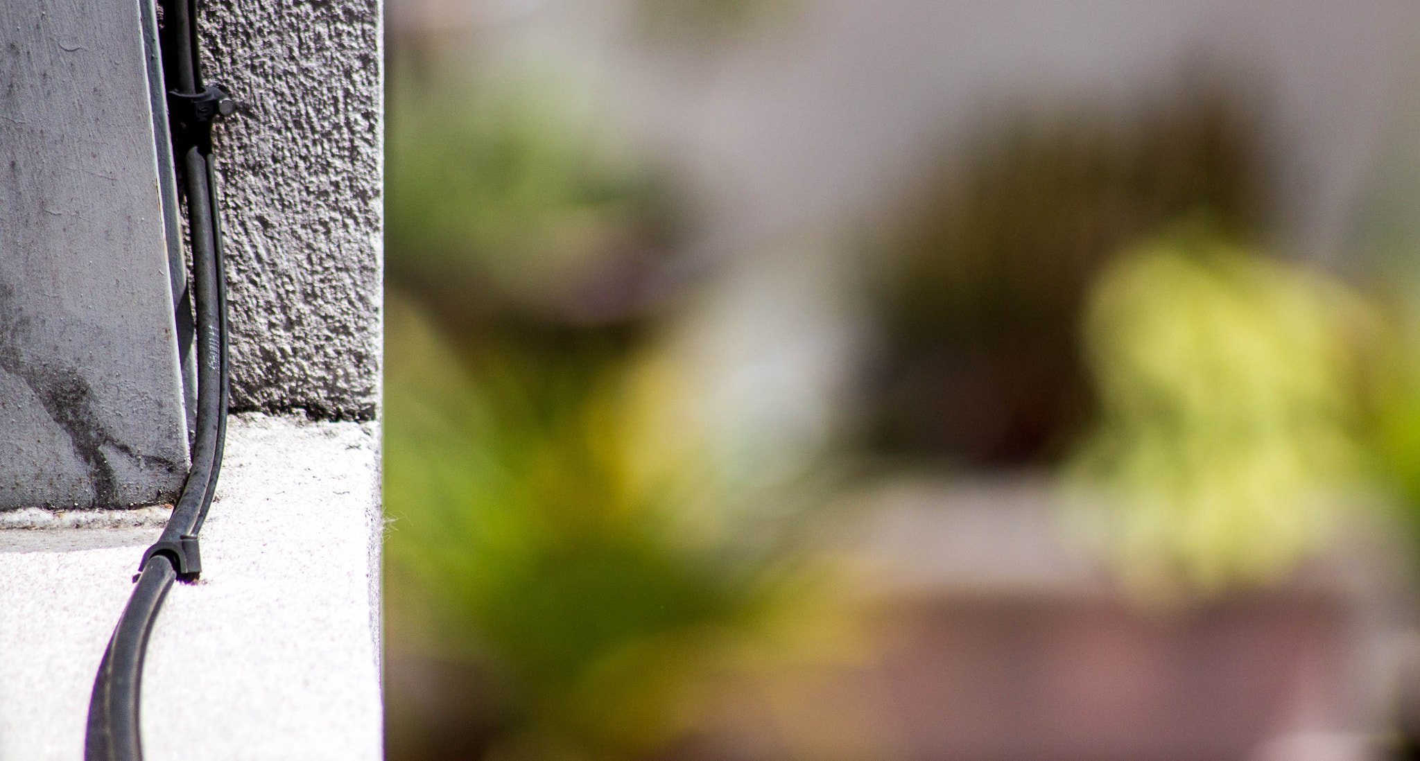 Canon EOS 1100D (EOS Rebel T3 / EOS Kiss X50) sample photo. #blurcorner photography