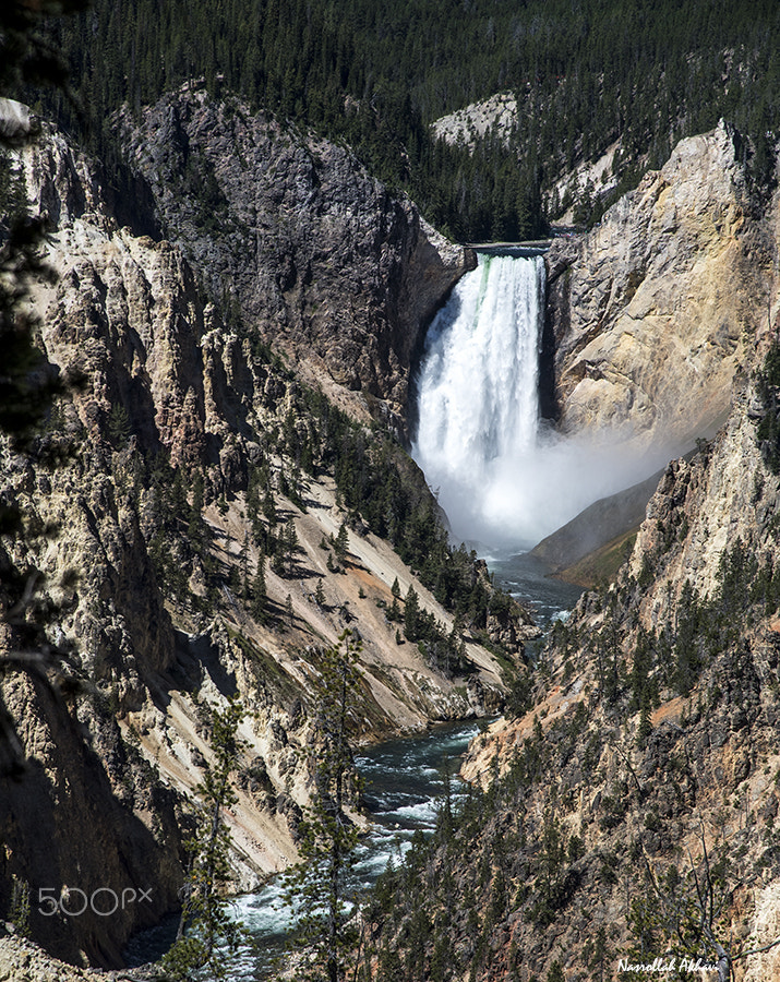 Nikon D5 sample photo. Yellowstone fall photography