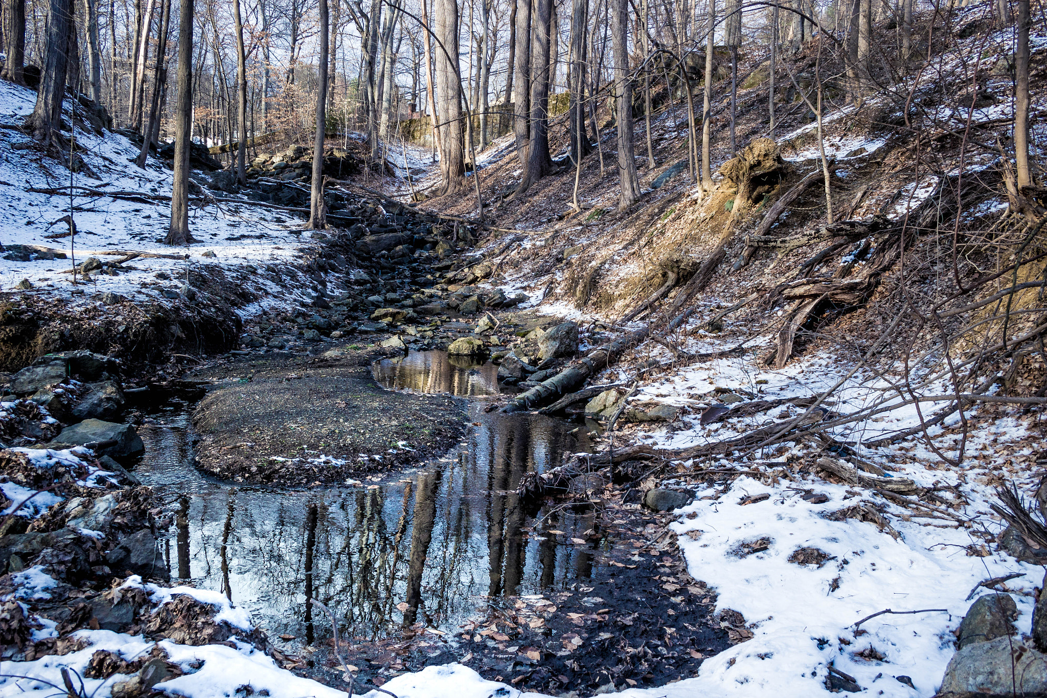 Canon EF-S 18-55mm F3.5-5.6 II sample photo. Deep in the ossining woods photography
