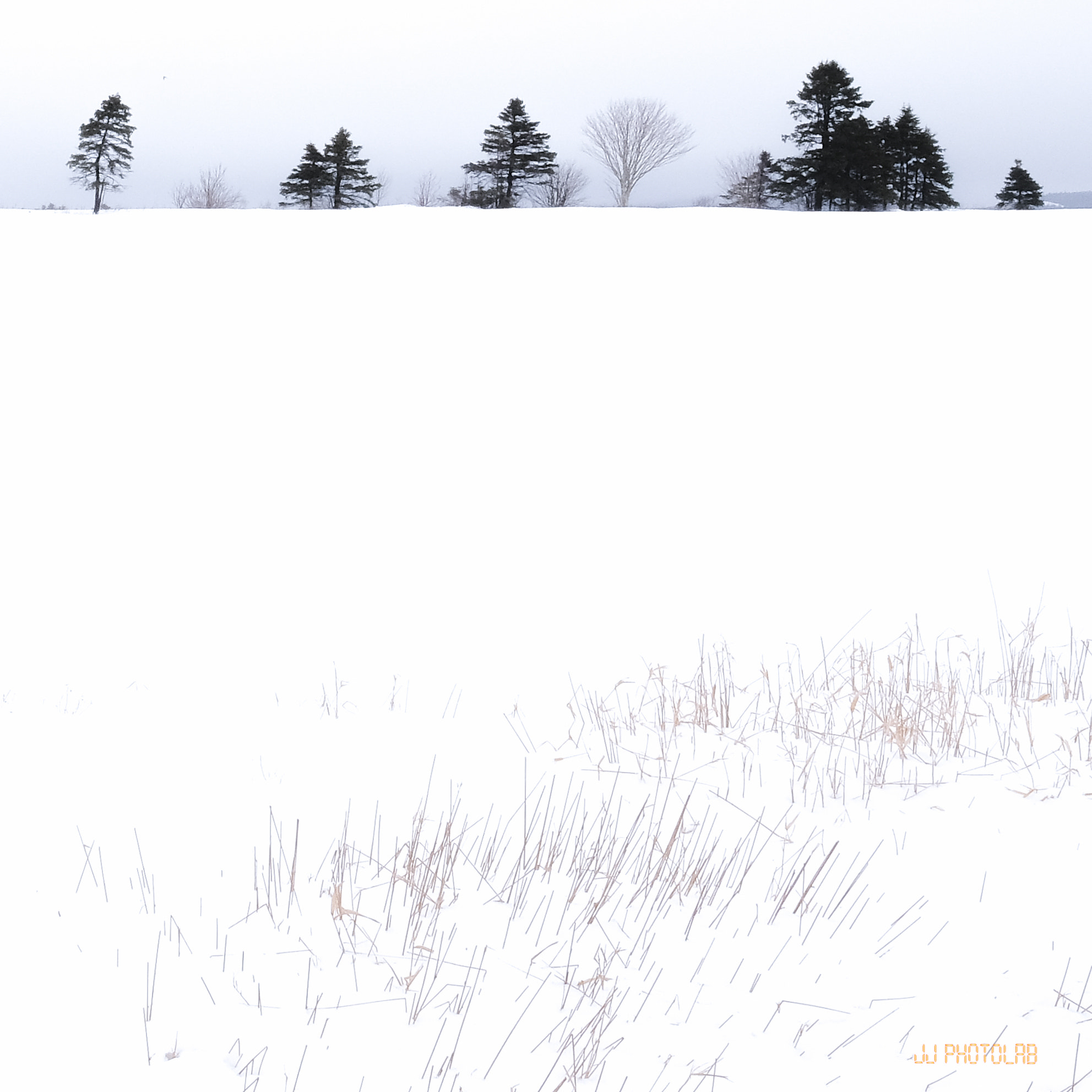 Fujifilm X-Pro2 + Fujifilm XF 23mm F1.4 R sample photo. Fresh snow on crop field photography