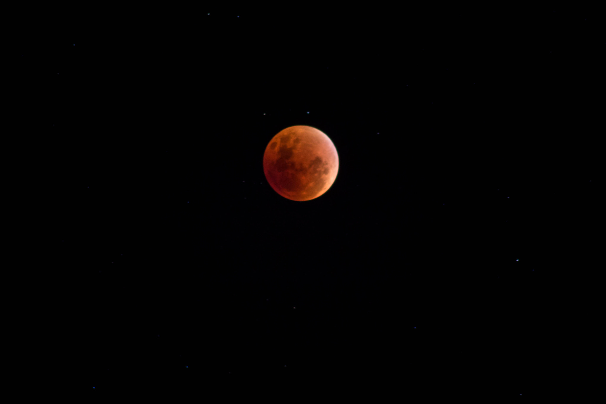 Canon EOS 1100D (EOS Rebel T3 / EOS Kiss X50) + Sigma 50-200mm F4-5.6 DC OS HSM sample photo. #redmoon photography