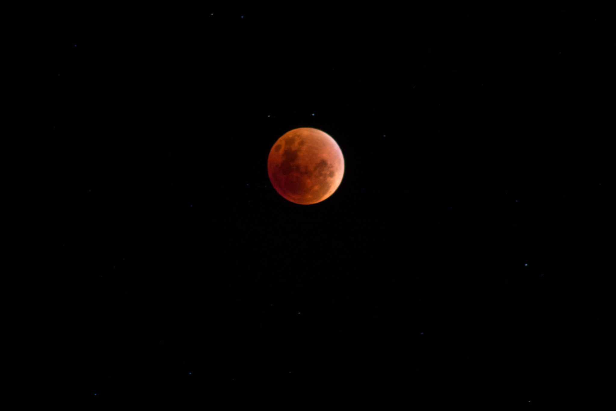 Canon EOS 1100D (EOS Rebel T3 / EOS Kiss X50) sample photo. #redmoon photography