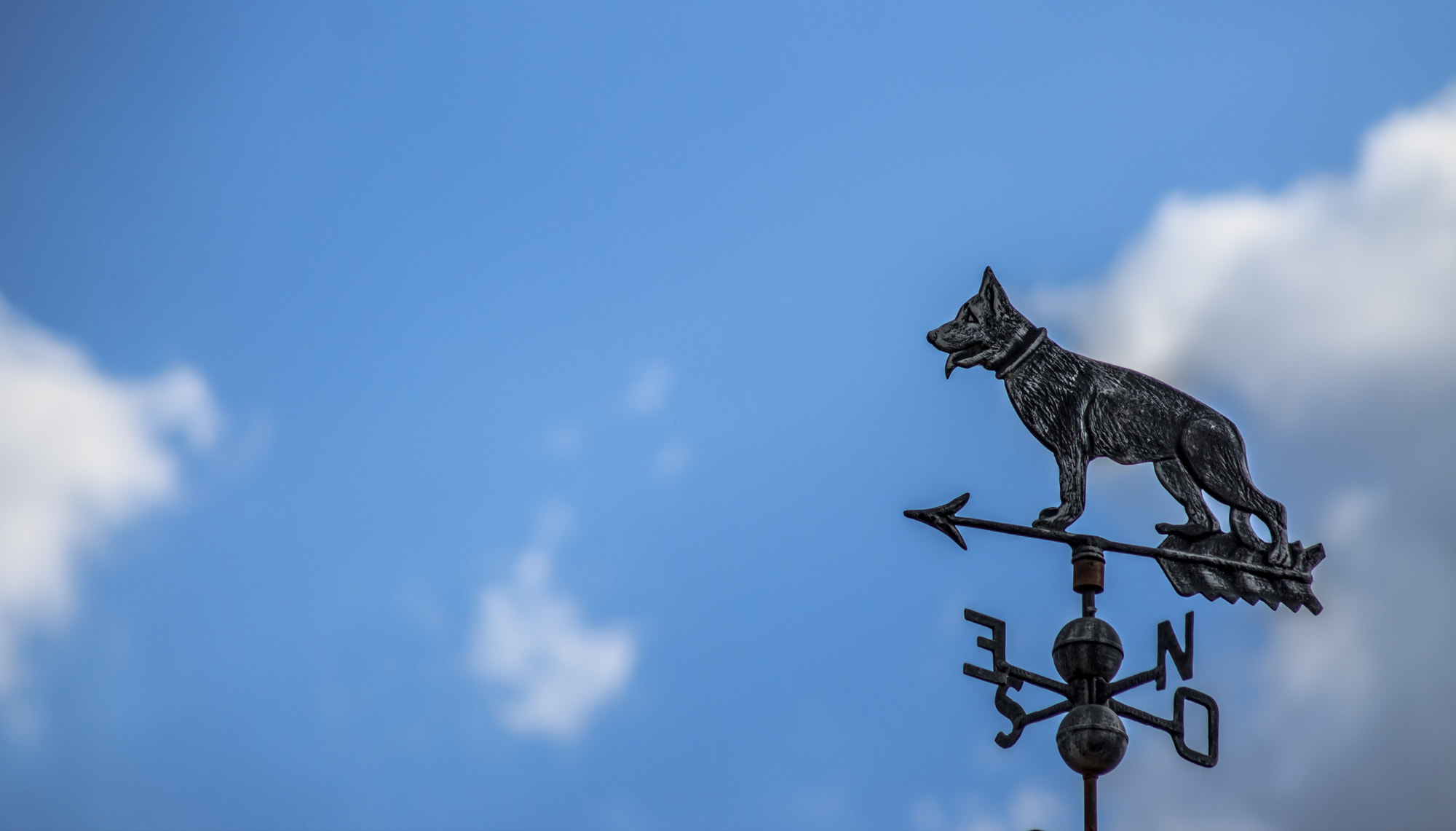 Canon EOS 1100D (EOS Rebel T3 / EOS Kiss X50) sample photo. Dog weathervane photography
