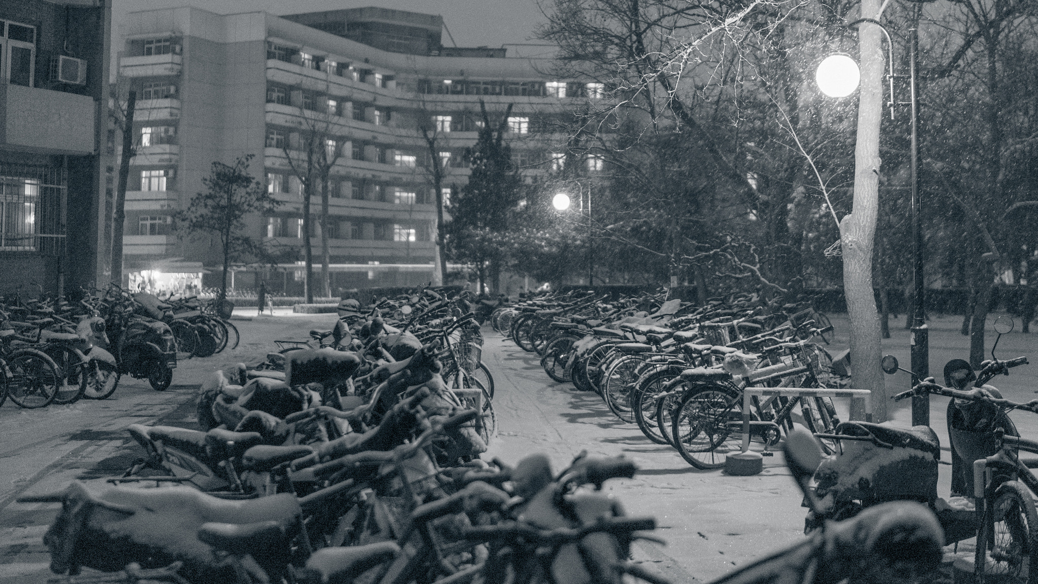 Sony a7 II + Sony Distagon T* FE 35mm F1.4 ZA sample photo. Silent snowy night photography