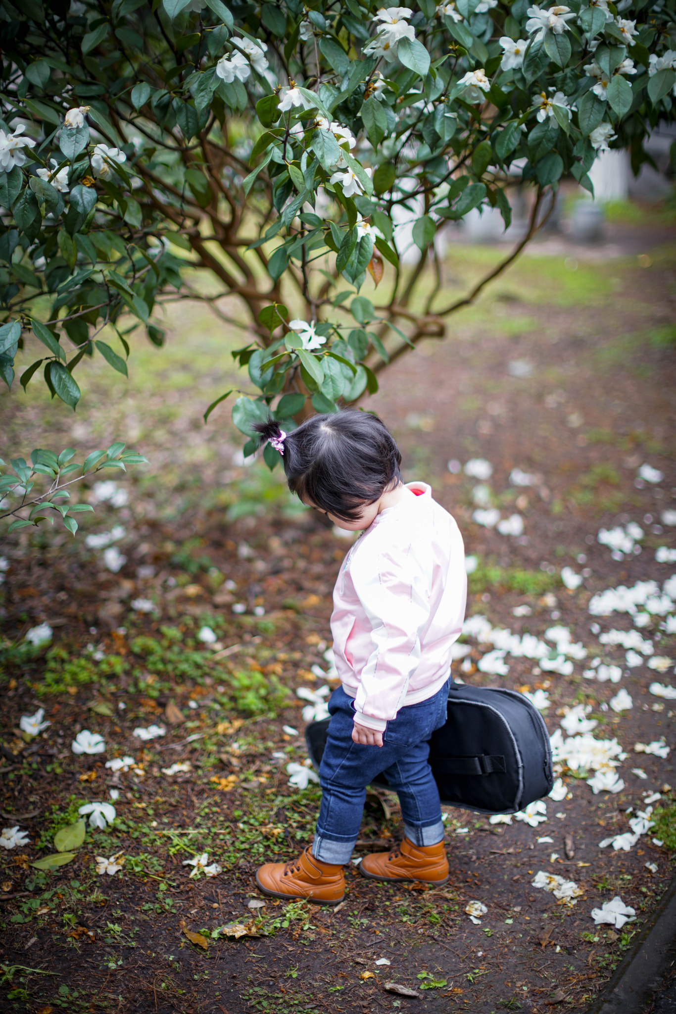 Canon EF 50mm F1.2L USM sample photo